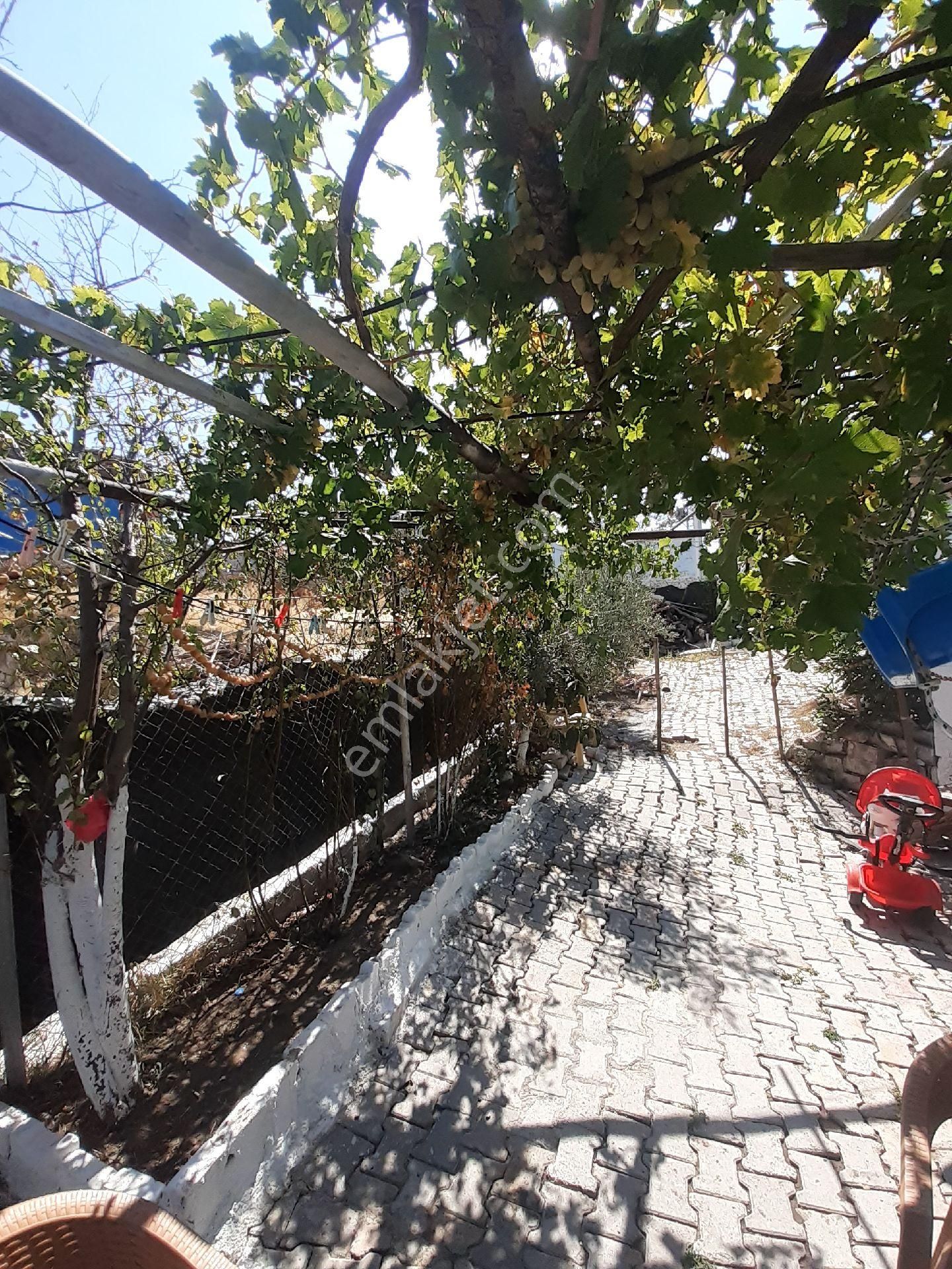 İzmir Kınık Arpaseki Köyü'nde Satılık Müstakil Bahçeli Köy Evi - Görsel 11