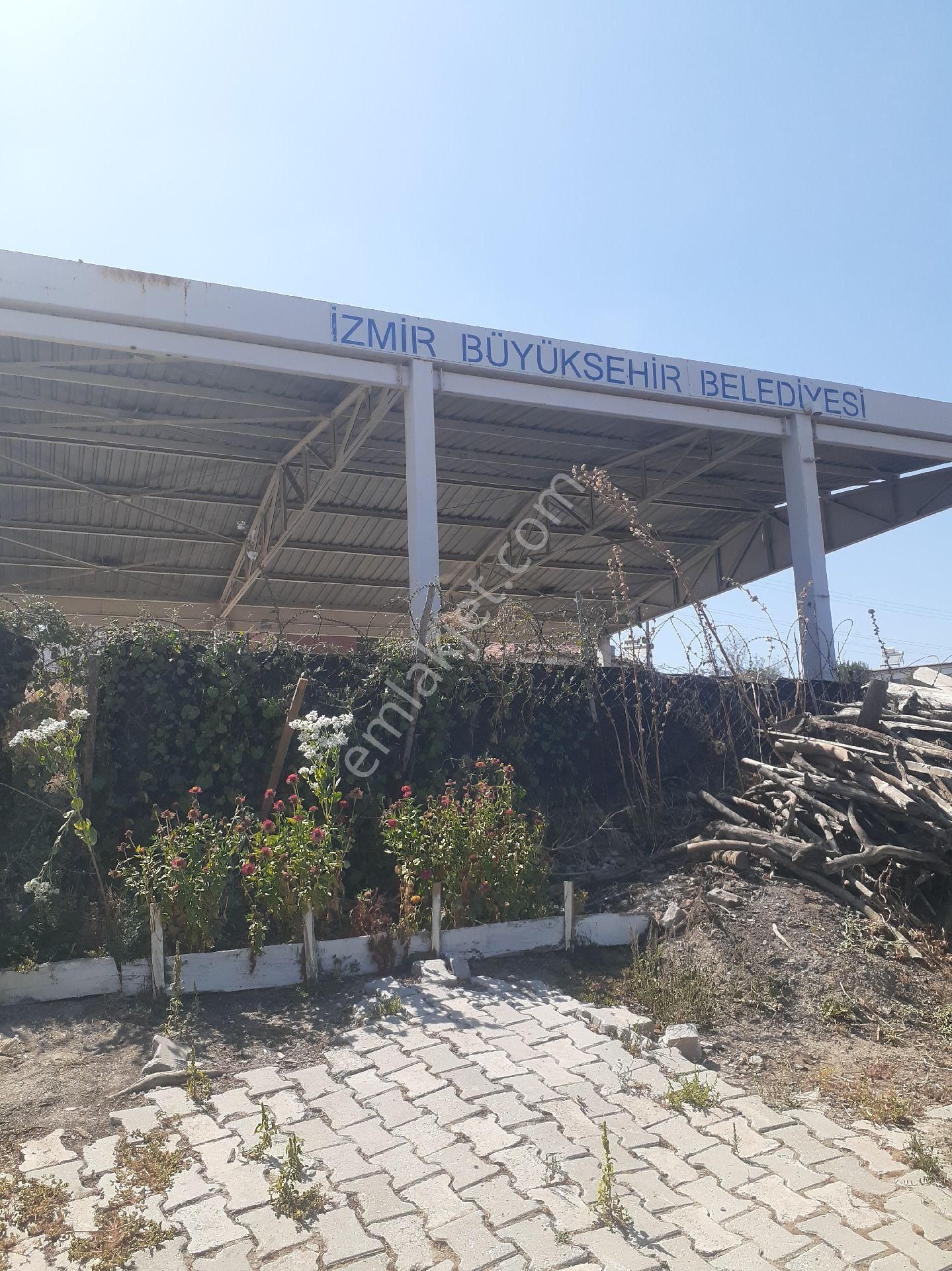 İzmir Kınık Arpaseki Köyü'nde Satılık Müstakil Bahçeli Köy Evi - Görsel 12