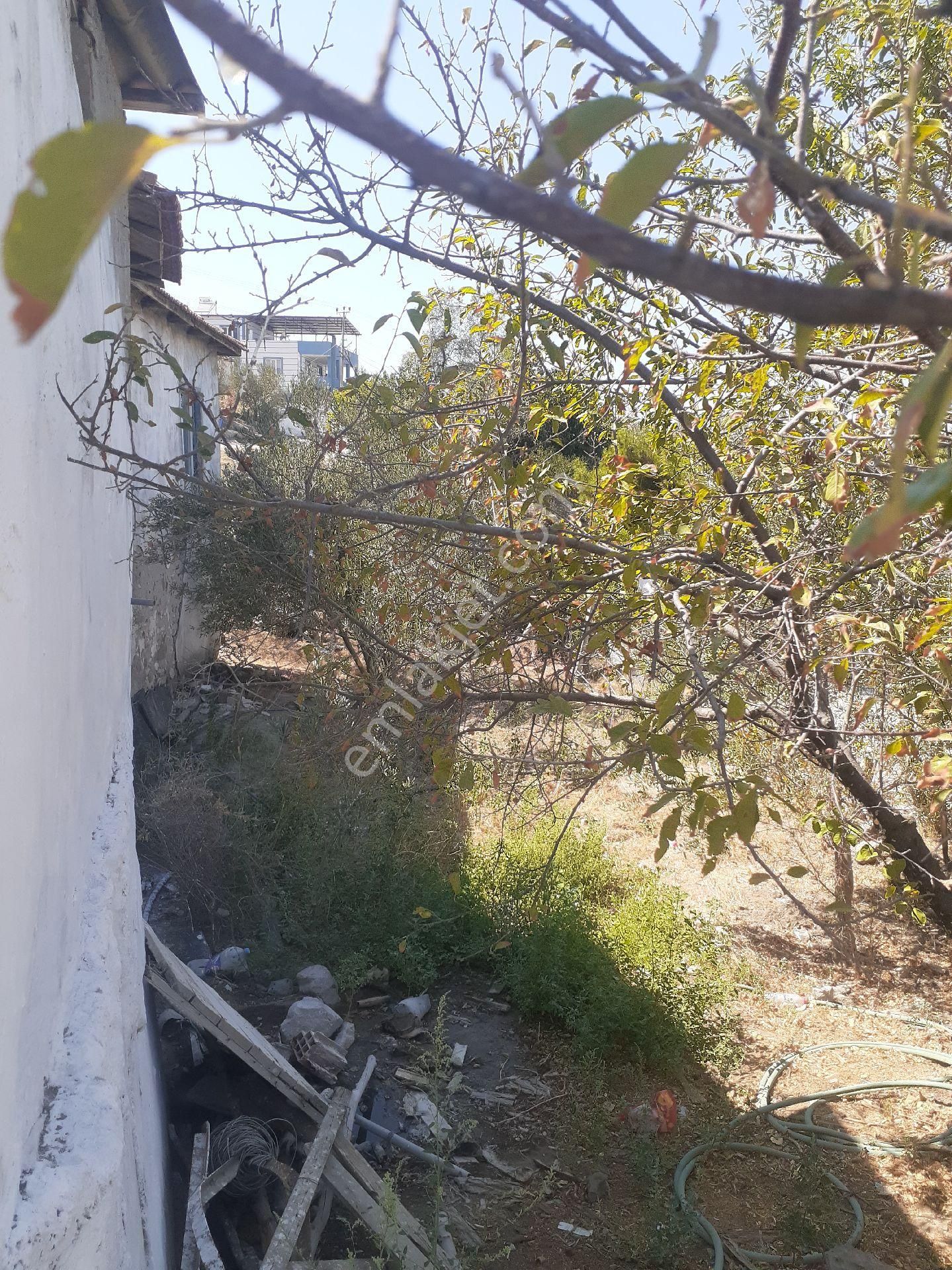 İzmir Kınık Arpaseki Köyü'nde Satılık Müstakil Bahçeli Köy Evi - Görsel 15