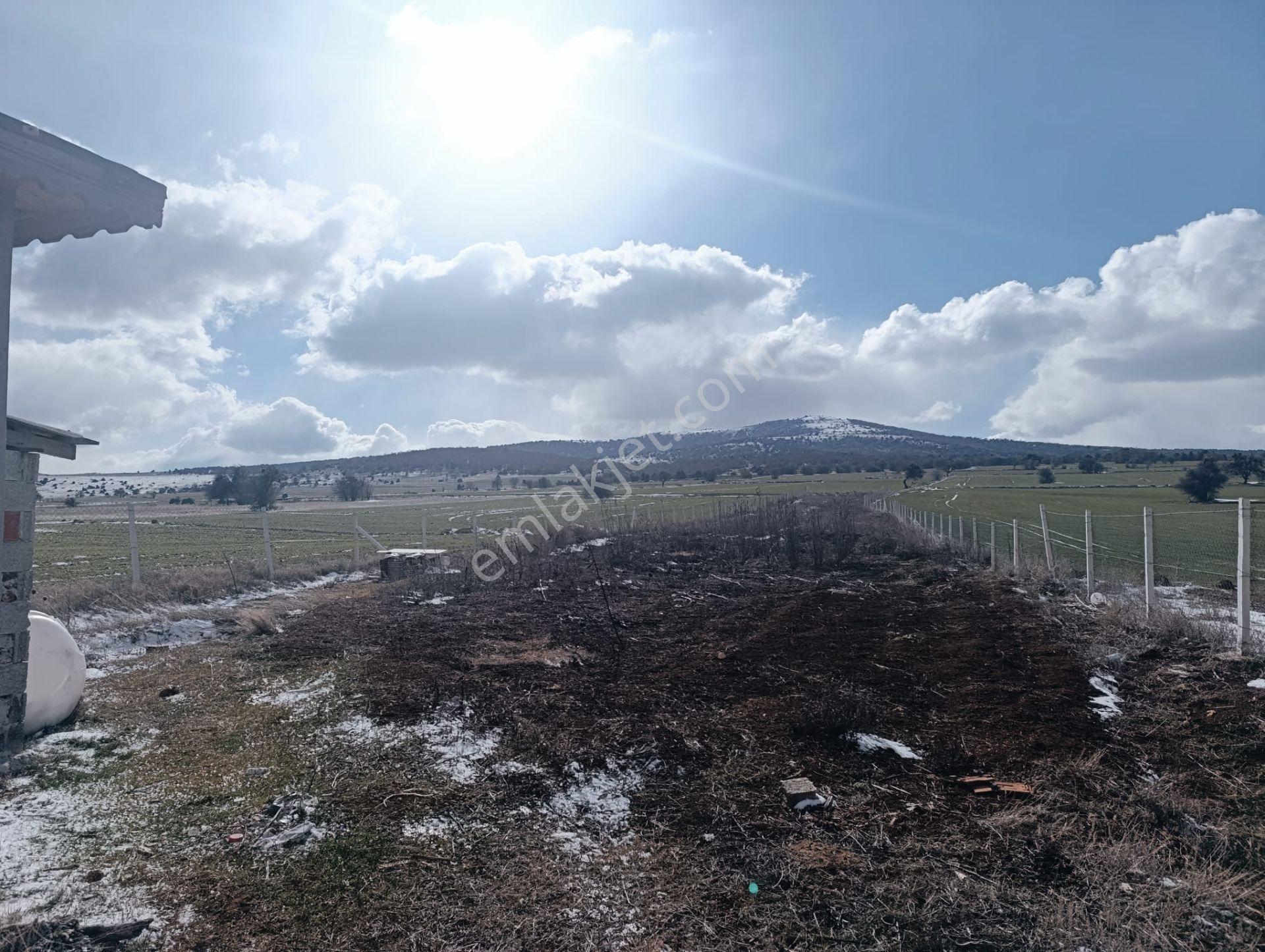 M-616 Seyitgazi / Sarayören Satılık Tarla İçi Ev - Görsel 9