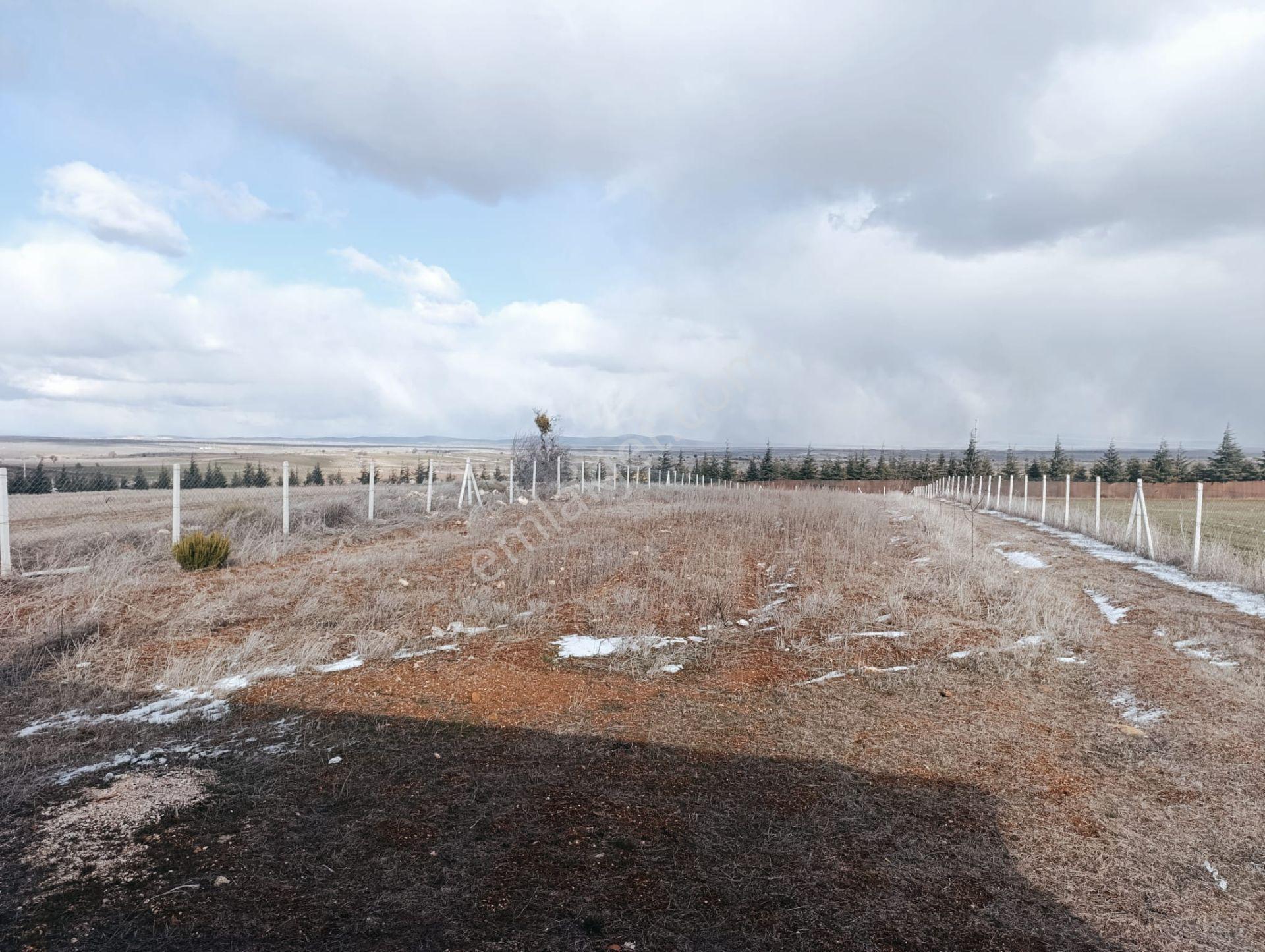 M-616 Seyitgazi / Sarayören Satılık Tarla İçi Ev - Görsel 3