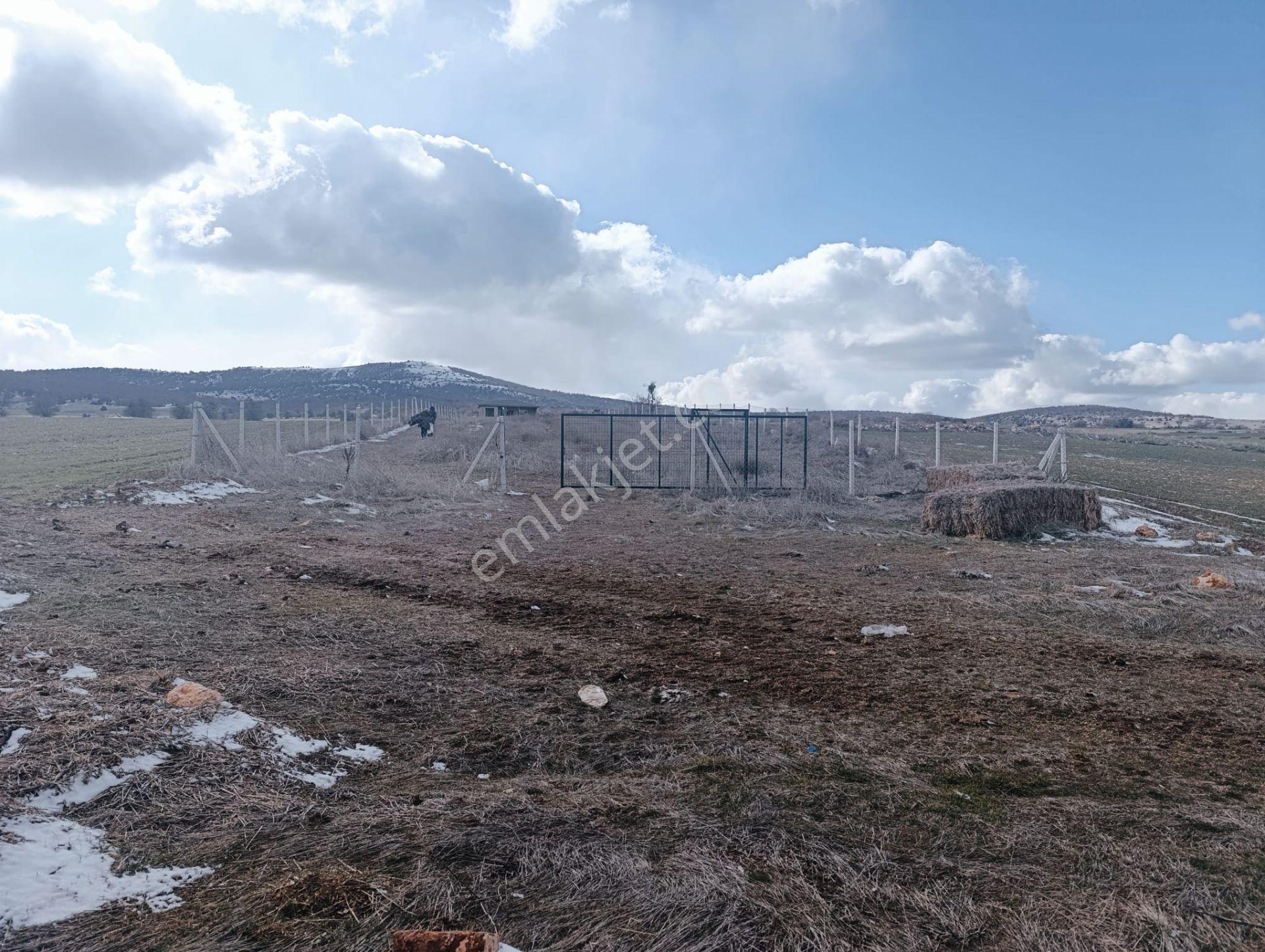 M-616 Seyitgazi / Sarayören Satılık Tarla İçi Ev - Görsel 15