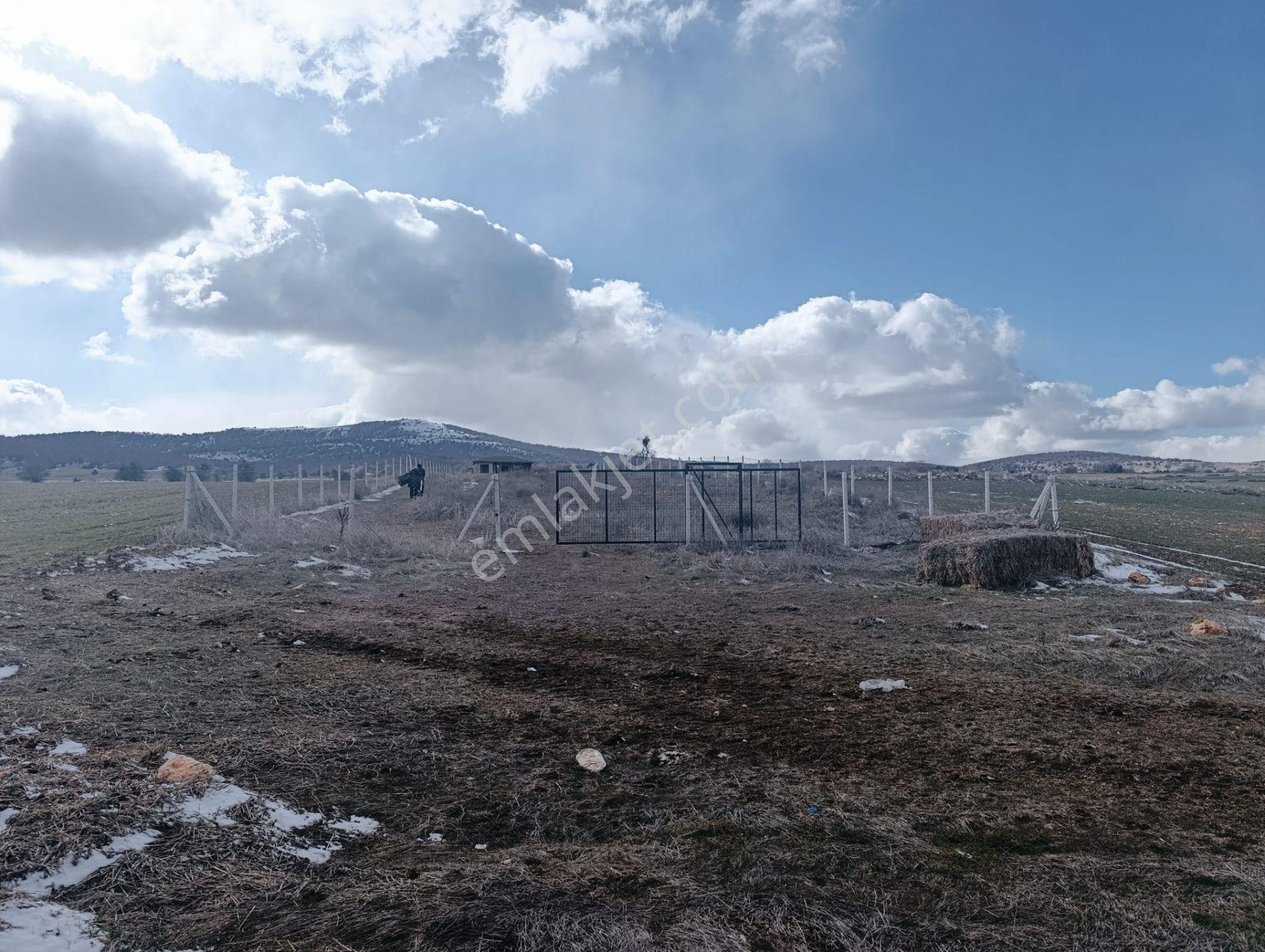 M-616 Seyitgazi / Sarayören Satılık Tarla İçi Ev - Görsel 14