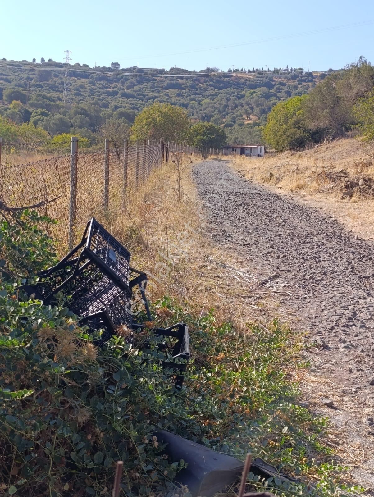 Eski Foçaya 2km Uzaklıkta Satılık Çiftlik Arazisi - Görsel 6