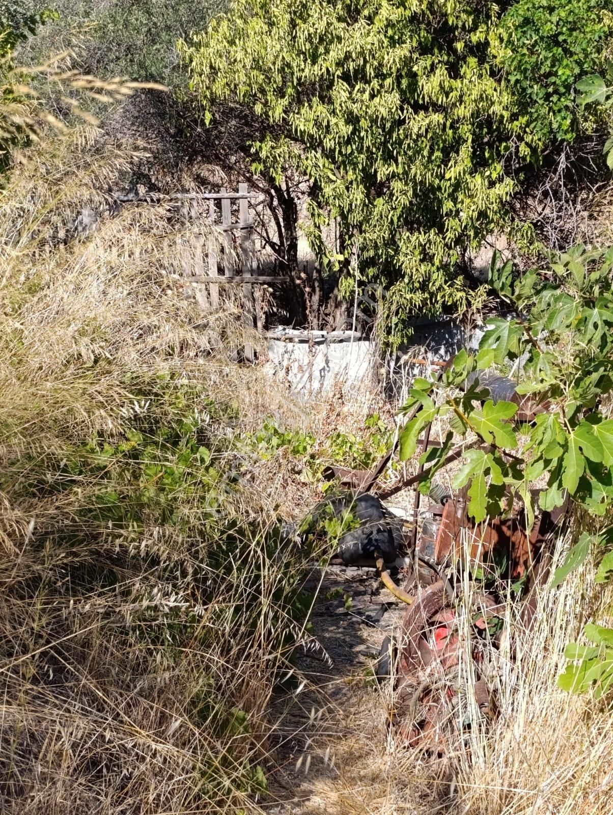 Eski Foçaya 2km Uzaklıkta Satılık Çiftlik Arazisi - Görsel 17