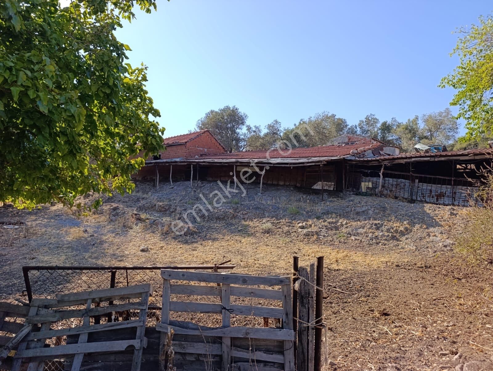 Eski Foçaya 2km Uzaklıkta Satılık Çiftlik Arazisi - Görsel 4