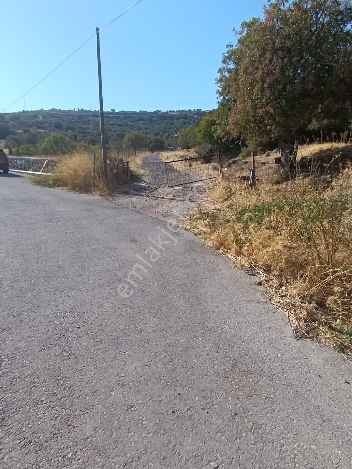 Eski Foçaya 2km Uzaklıkta Satılık Çiftlik Arazisi - Görsel 2