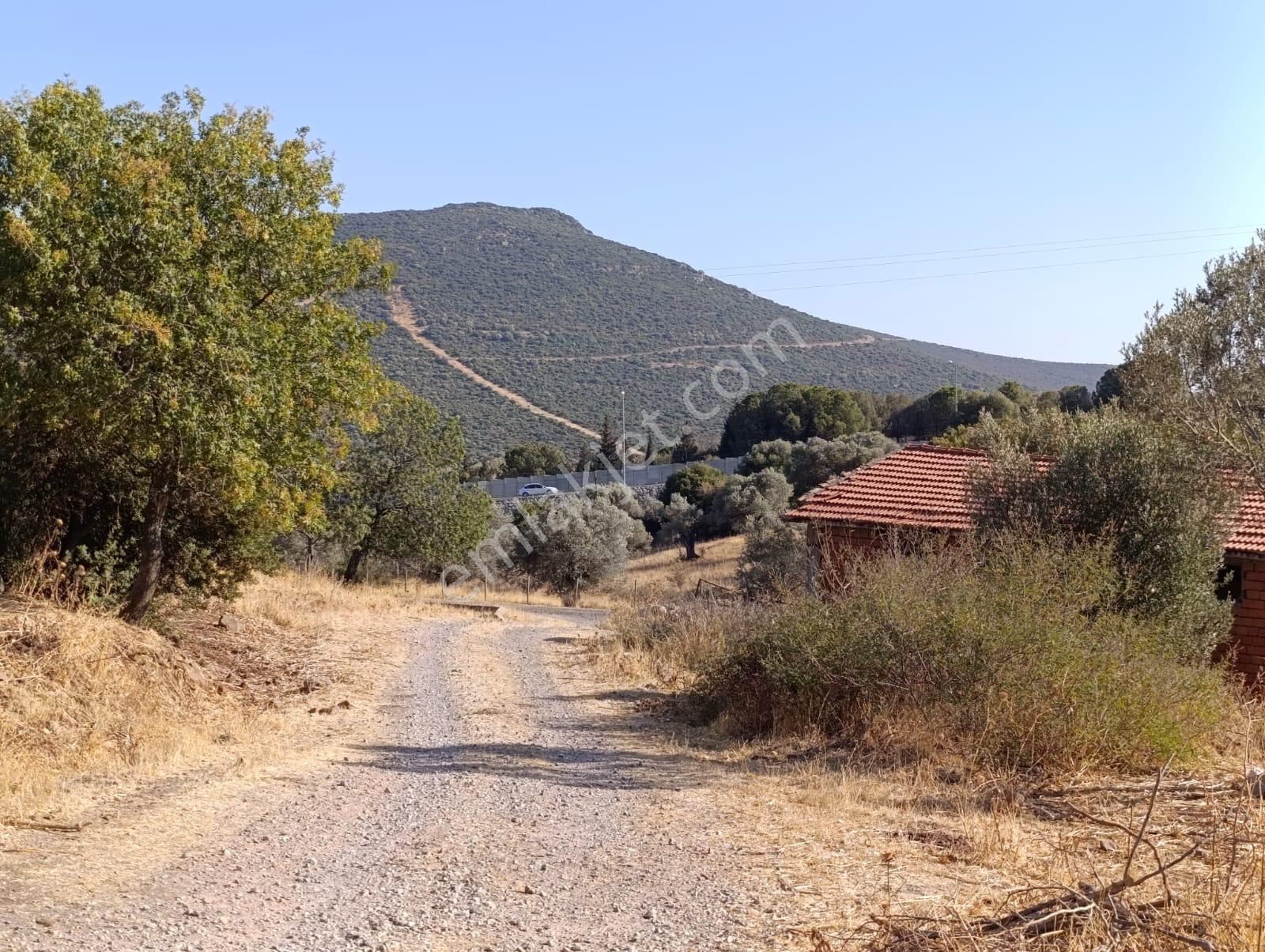 Eski Foçaya 2km Uzaklıkta Satılık Çiftlik Arazisi - Görsel 8