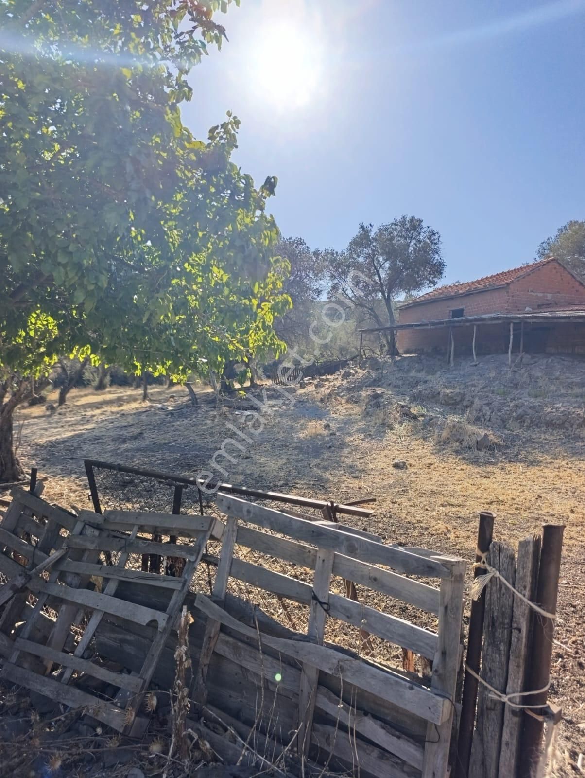 Eski Foçaya 2km Uzaklıkta Satılık Çiftlik Arazisi - Görsel 5