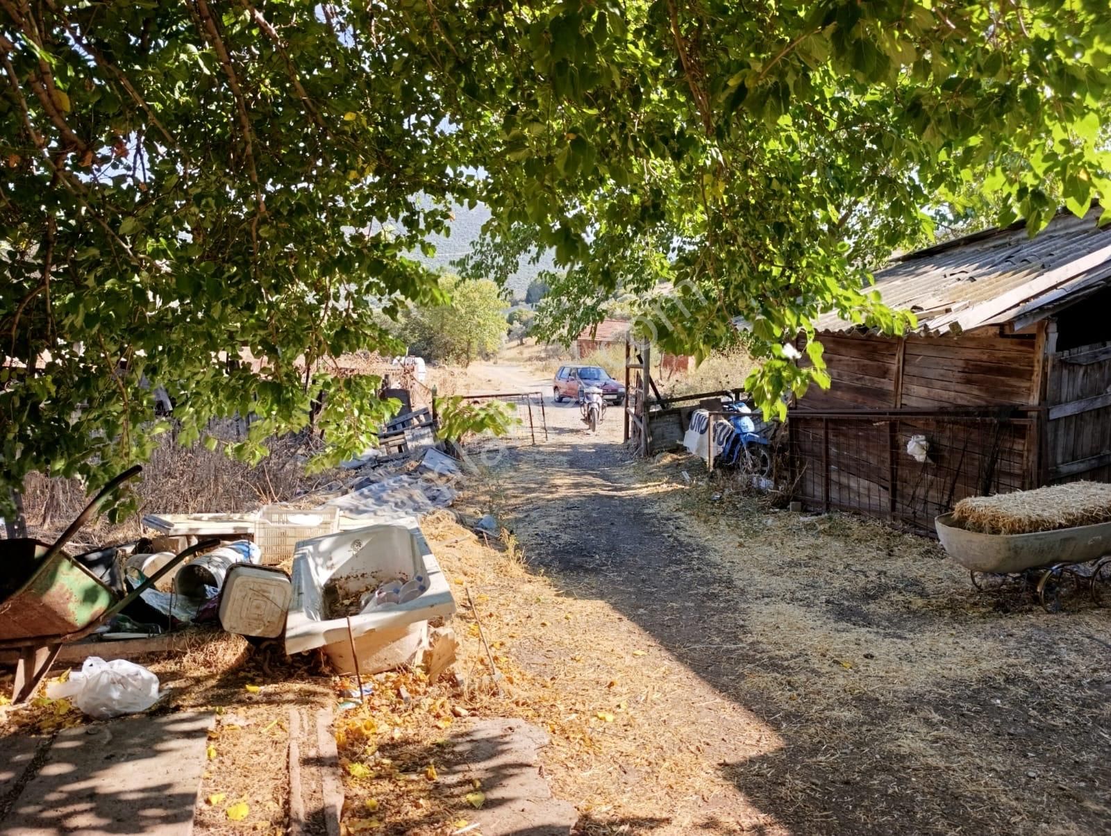 Eski Foçaya 2km Uzaklıkta Satılık Çiftlik Arazisi - Görsel 14