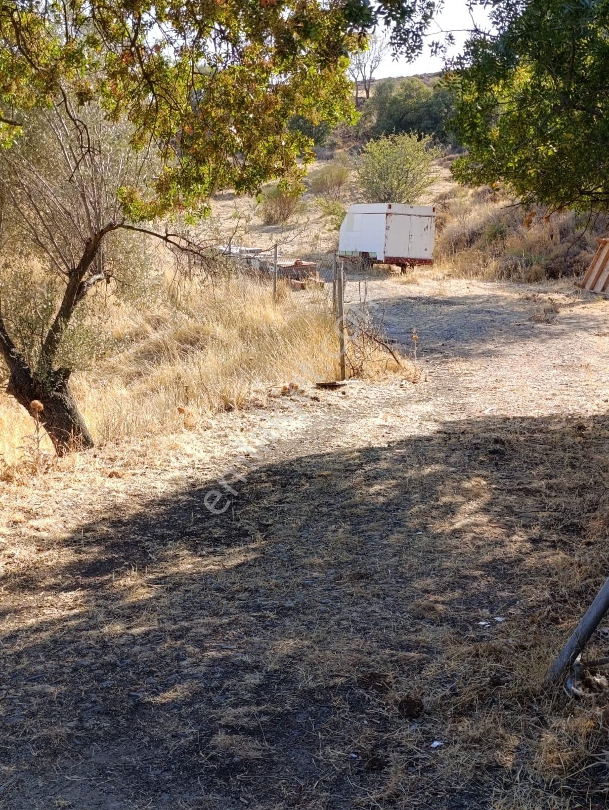 Eski Foçaya 2km Uzaklıkta Satılık Çiftlik Arazisi - Görsel 10