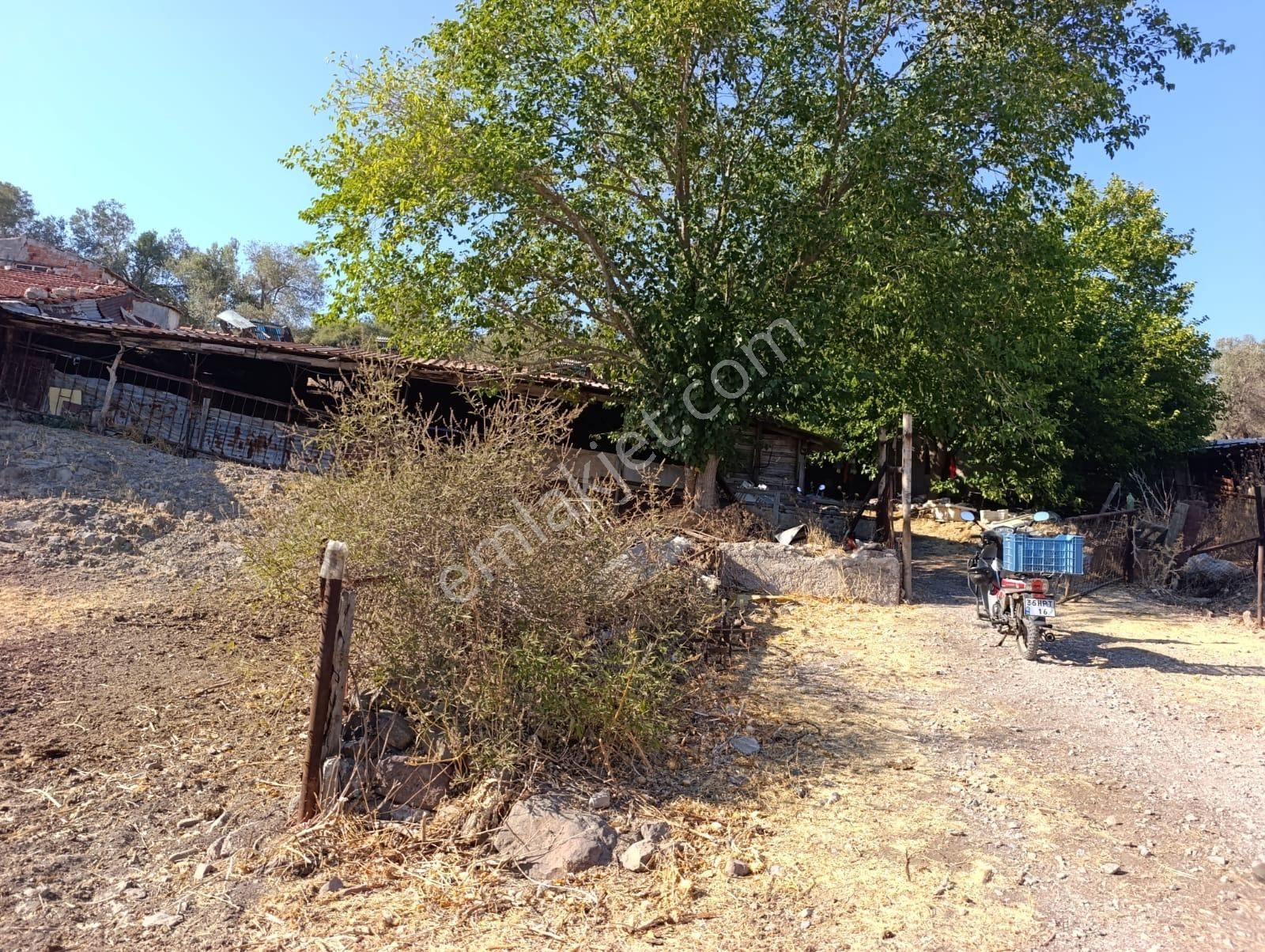 Eski Foçaya 2km Uzaklıkta Satılık Çiftlik Arazisi - Görsel 19