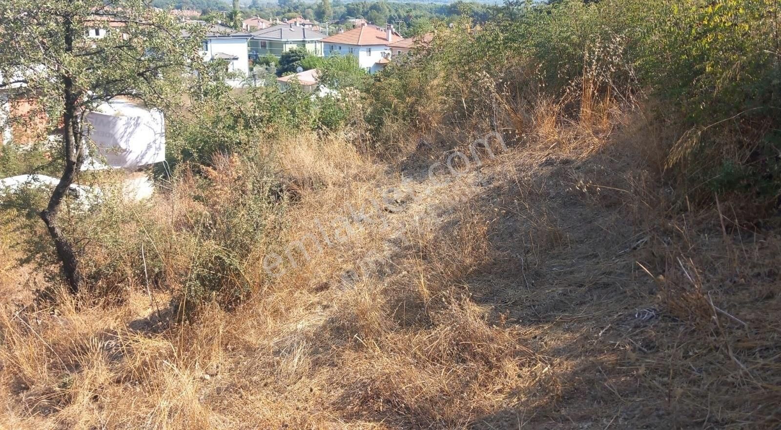 Fiyat Düştü ! Gökova, Kızılyaka Harika Manzaralı Arsası Satılık - Görsel 13