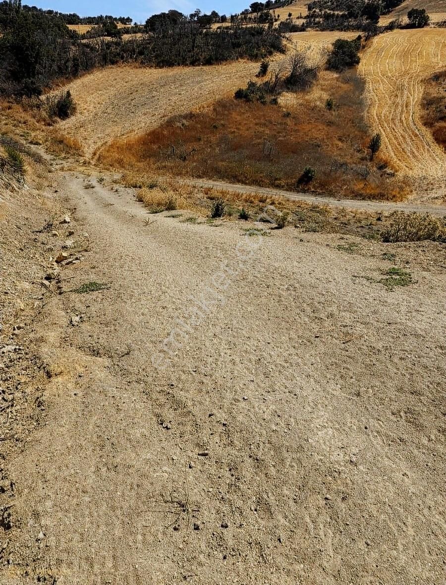 Çanakkale Kemel Köyünde Denize Manzara'lı Satılık Tarla - Görsel 2