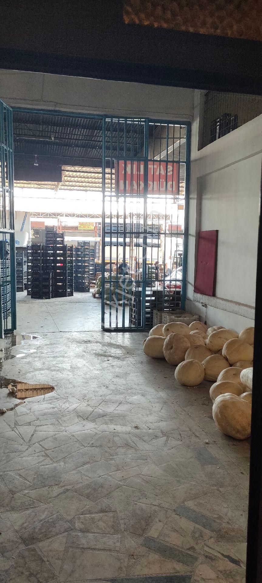 Mersin Toptancı Halde Komisyoncu Dükkanı - Görsel 4