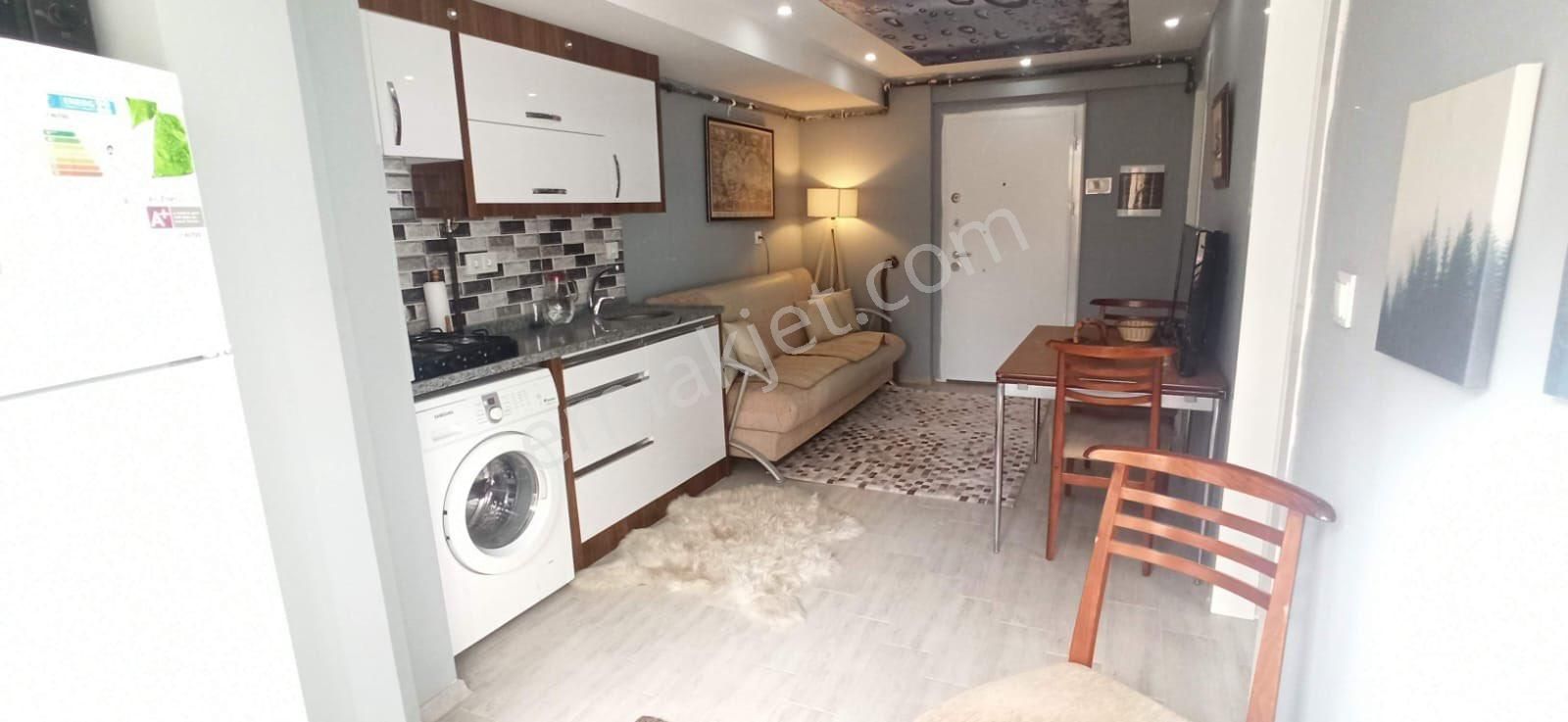 Zeytinköy'de 1+1 Eşyalı Apart Daire (müstakil Bahçeli)