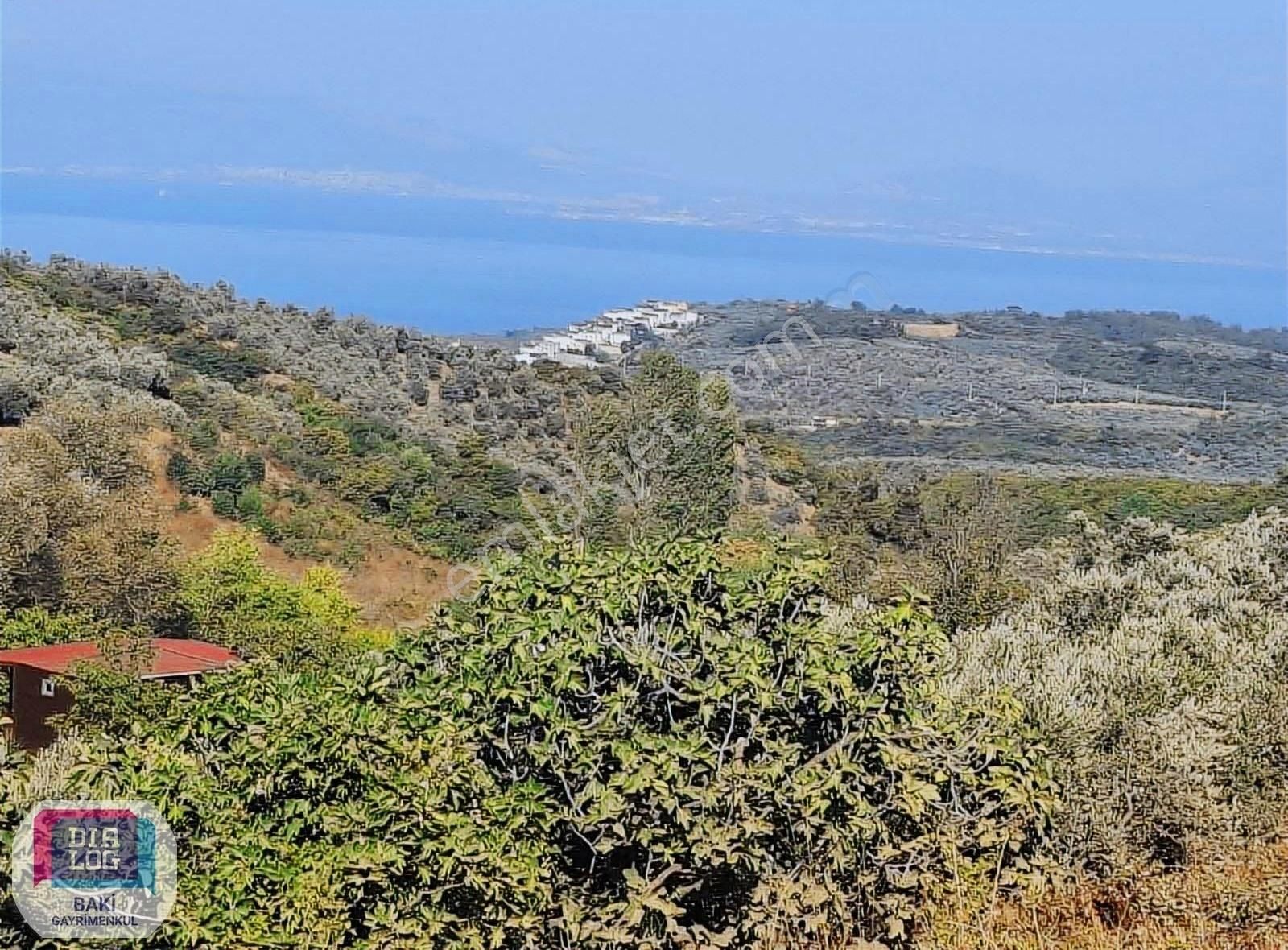 Mudanya Çepni Mahallesi Full Deniz Manzaralı 1200 M² Arsa