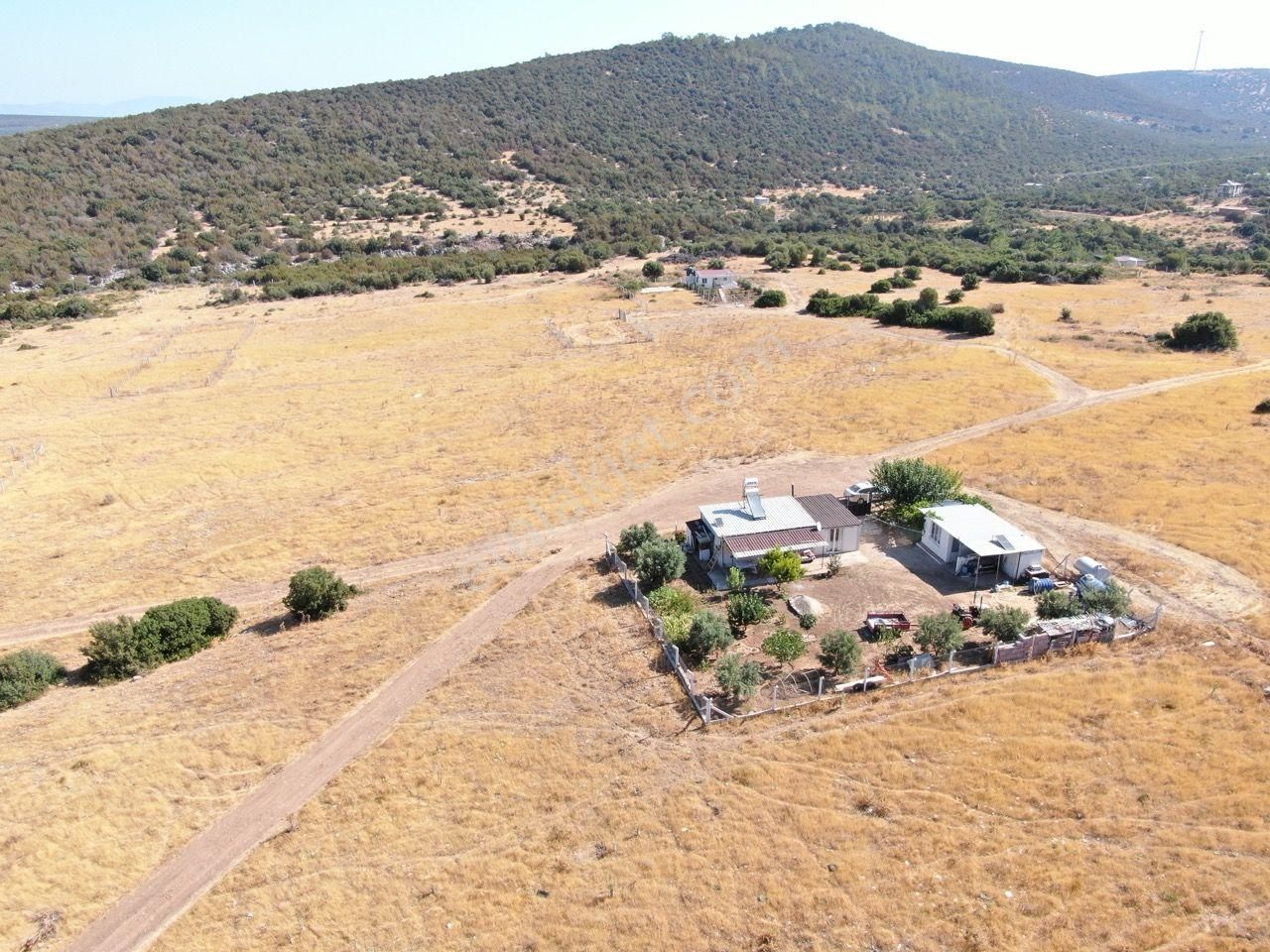 Didim Balovada Satılık Yatırımlık İmarlı Arsa - Görsel 4