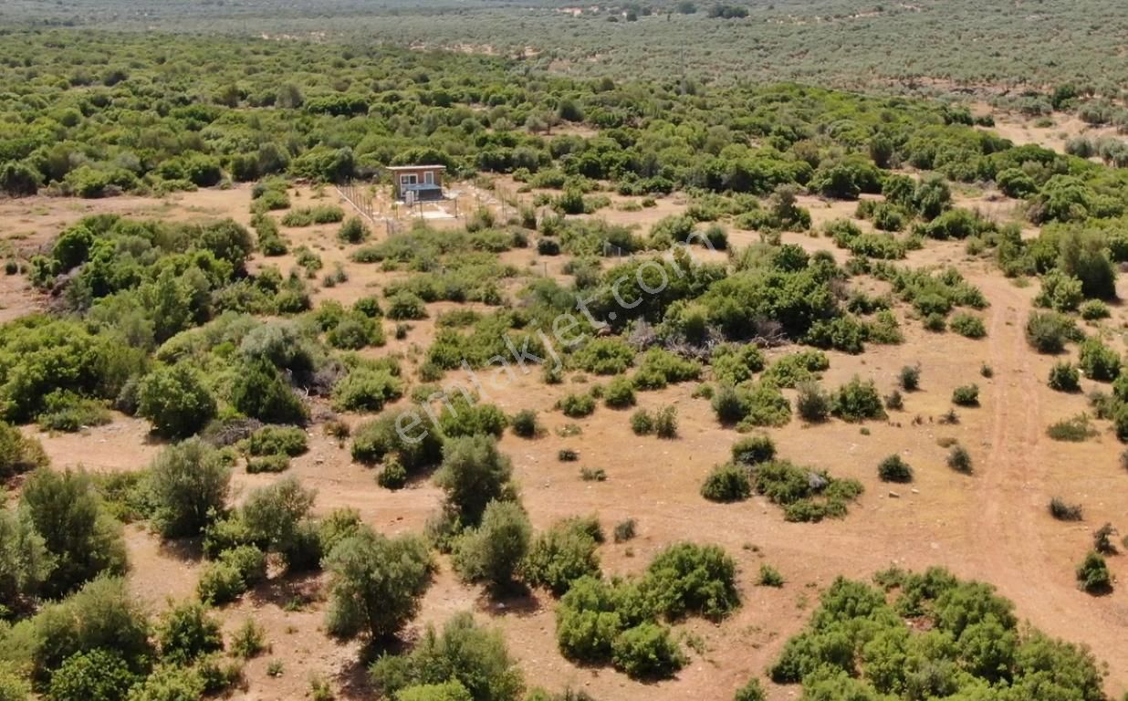 Didim Balovada Satılık Yatırımlık İmarlı Arsa - Görsel 3