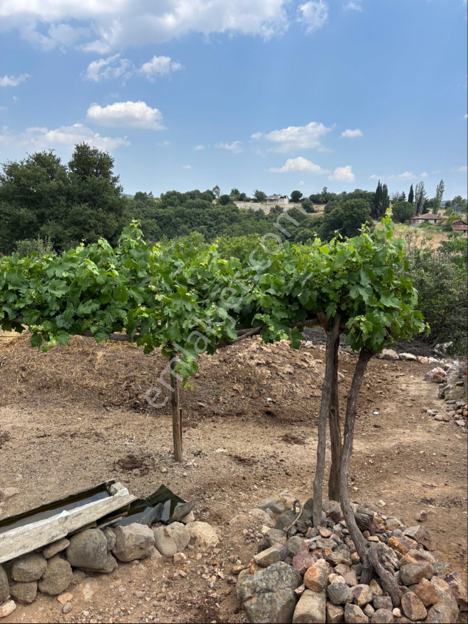 Aşağı Şpcı Köyünde - Görsel 3