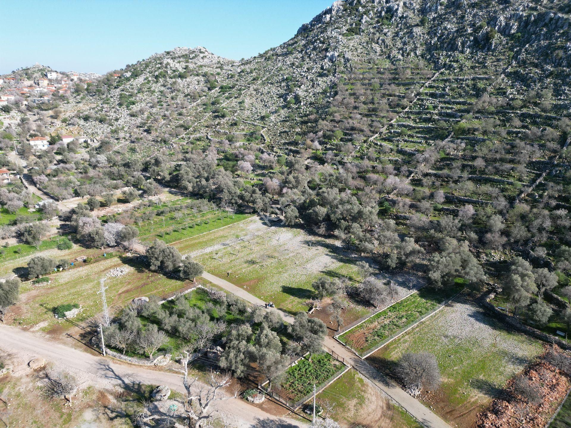 Joker: Marmaris Taşlıca Evlere Komşu Doğal Hayata Uygun Satılık Tarla - Görsel 6