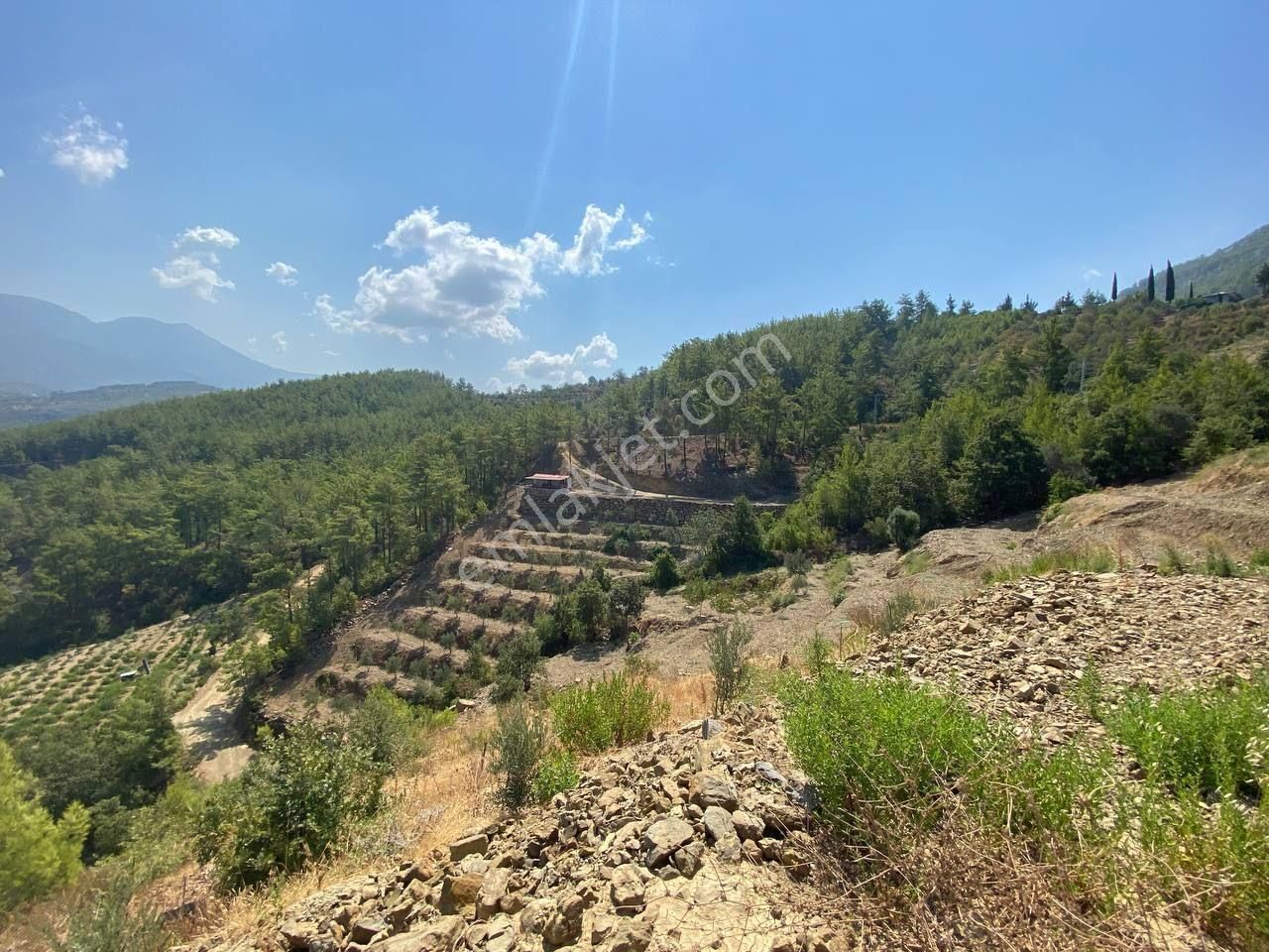 690 M² Satılık Yerimiz - Görsel 2