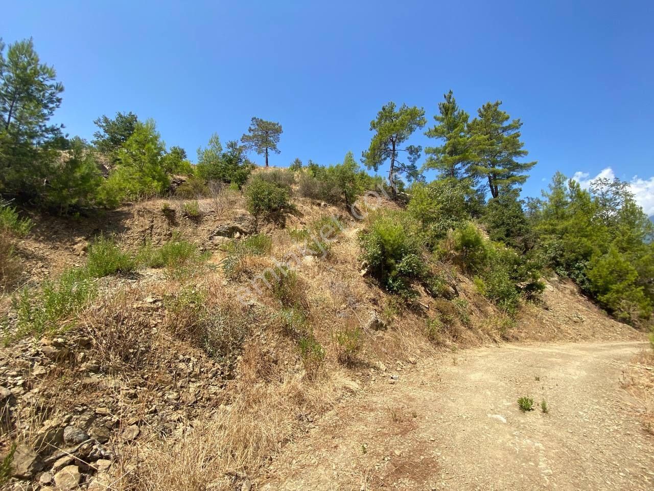 690 M² Satılık Yerimiz - Görsel 6