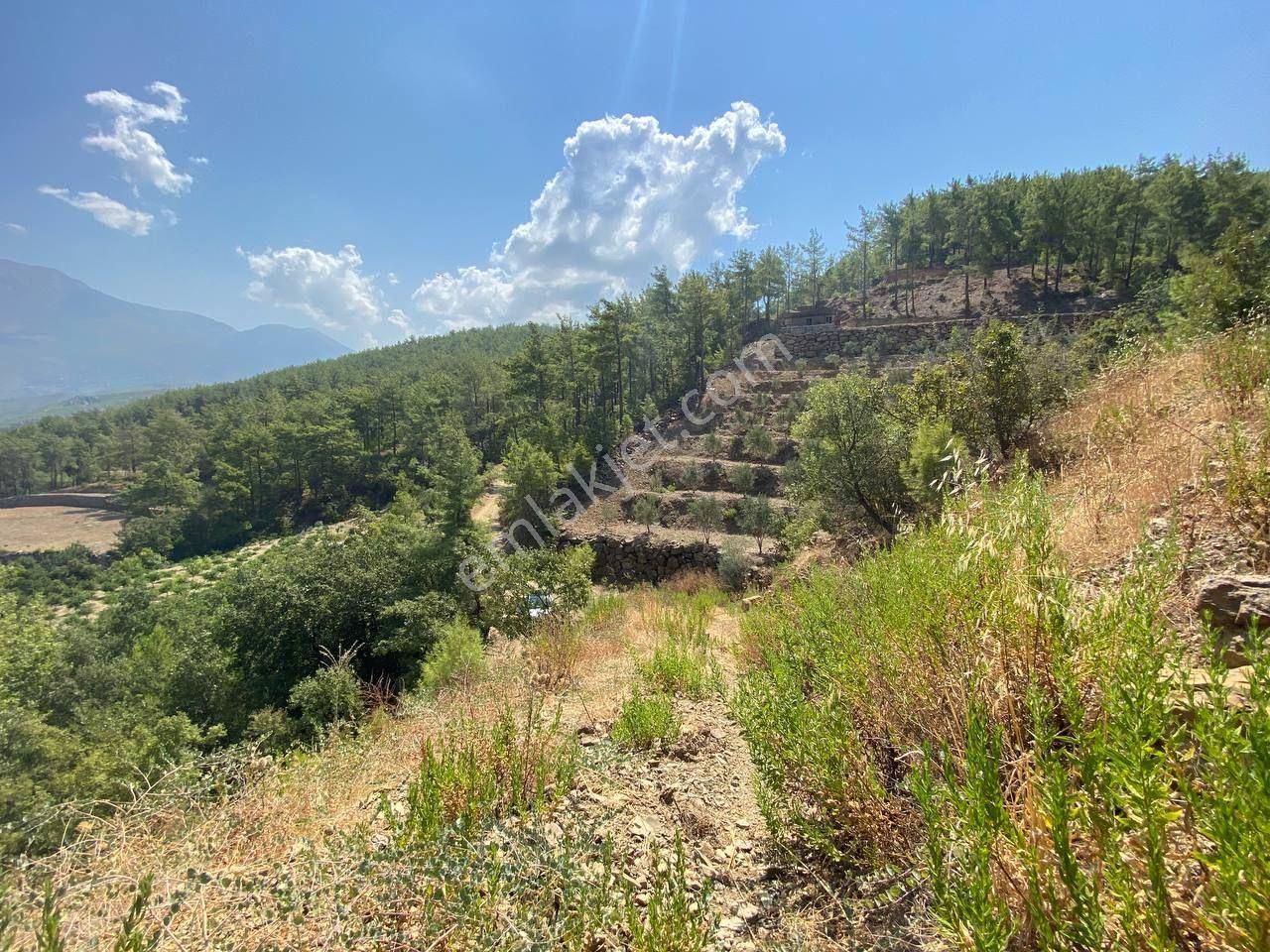 690 M² Satılık Yerimiz - Görsel 7