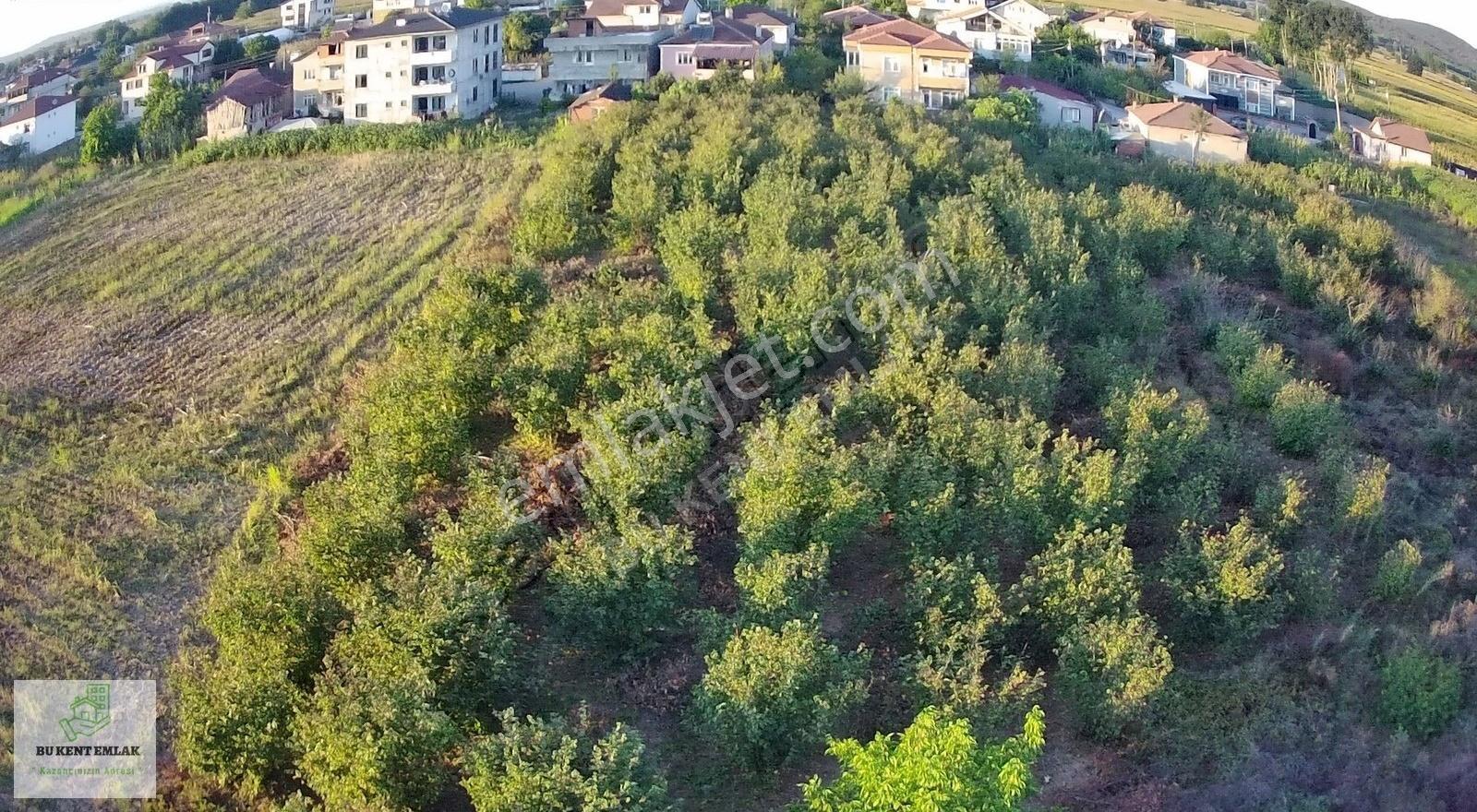Bu Kent Emlaktan Küçük Söğütlüde 562 M2 İmarlı Arsa - Görsel 7