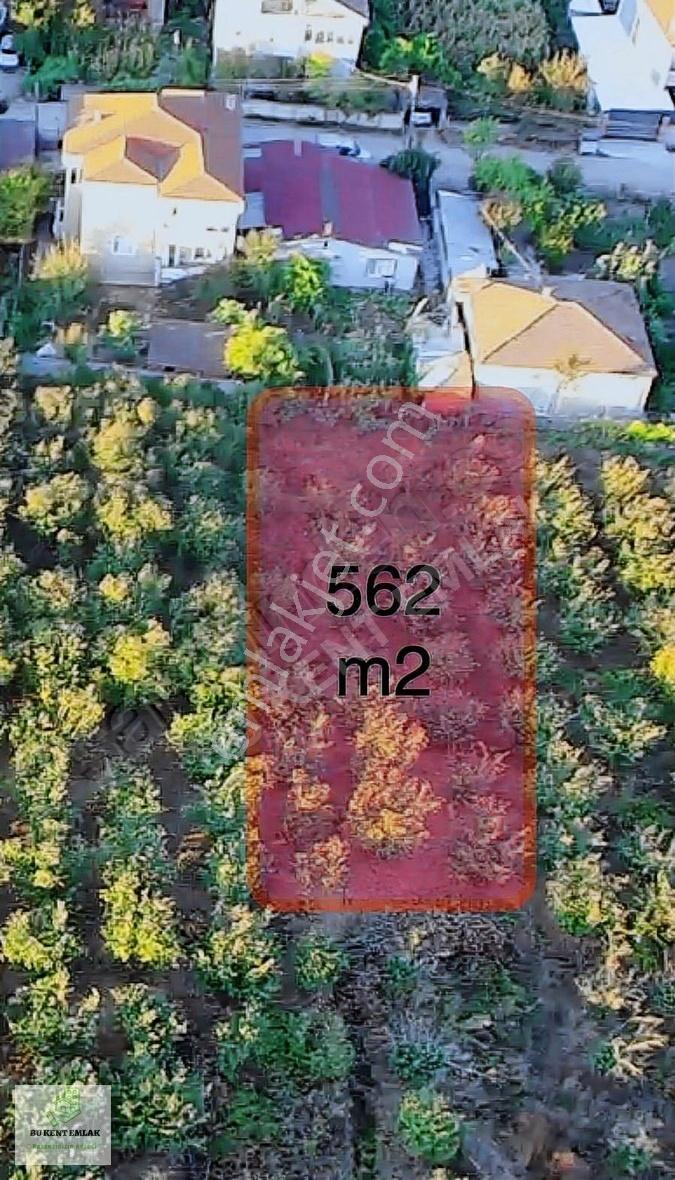 Bu Kent Emlaktan Küçük Söğütlüde 562 M2 İmarlı Arsa