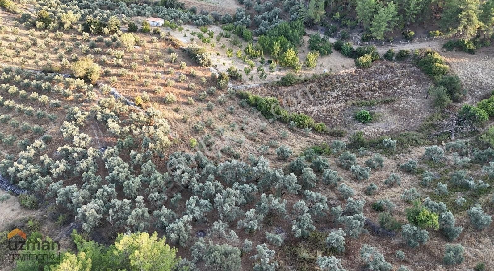 Uzman Gayrimenkul'den Yerkesik'de Satılık 2494 M2 Arazi