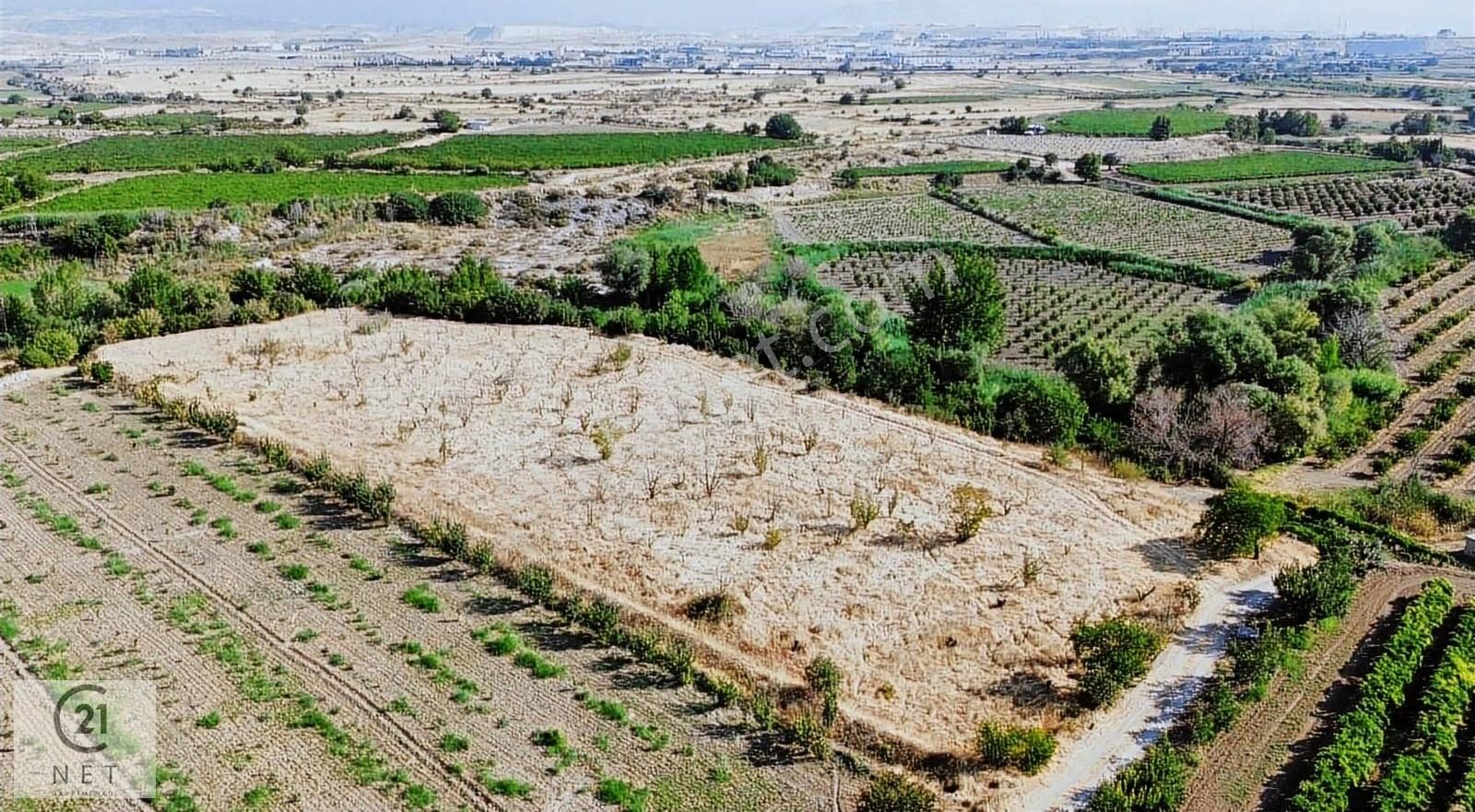 Century 21 Net'ten Honaz Kızılyer'de 7300 M2 Kiraz Bahçesi - Görsel 2