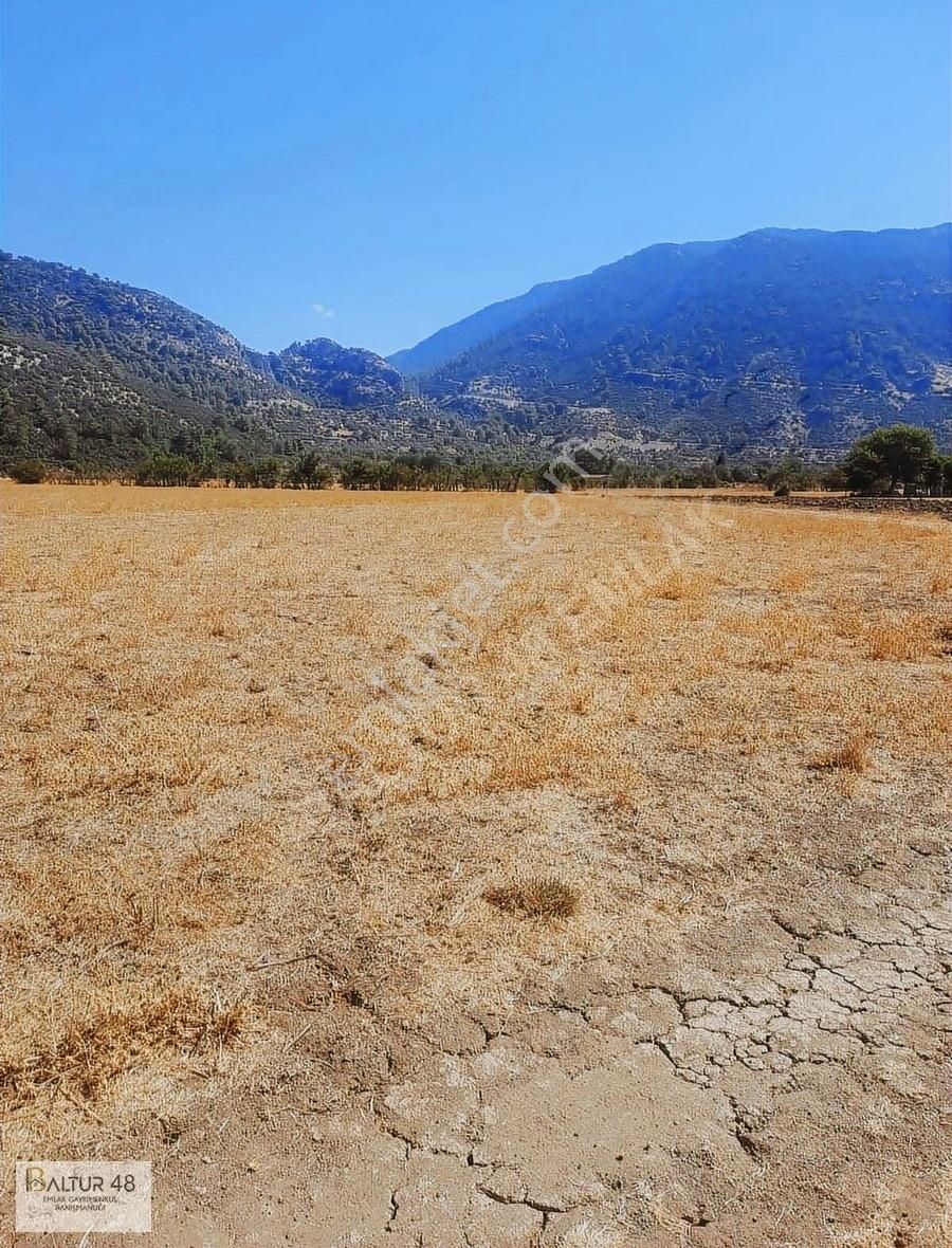 İncirköy Mahallesi 5525 M2 Tek Tapu Mustakil Arazi