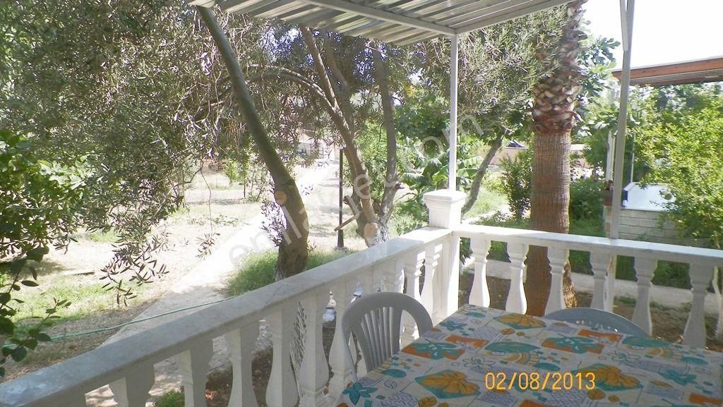 Acill. Daha Sakin Ve Sağlıklı Bir Hayat İçin Mükemmel Seçim. İhtiyaçtan Acil Satılık - Görsel 2