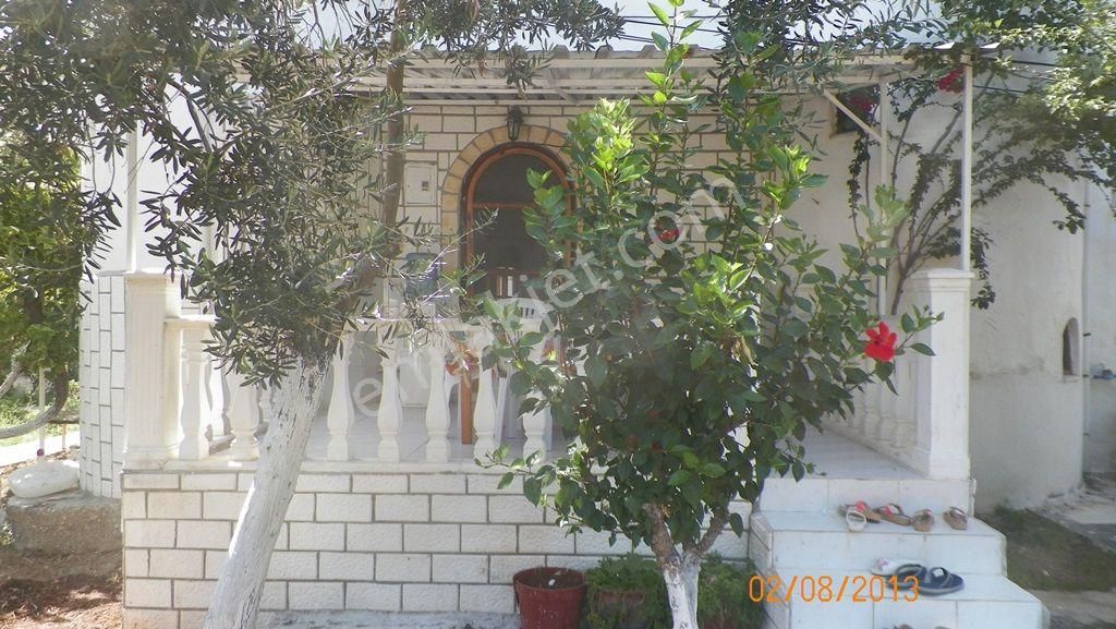 Acill. Daha Sakin Ve Sağlıklı Bir Hayat İçin Mükemmel Seçim. İhtiyaçtan Acil Satılık - Görsel 32