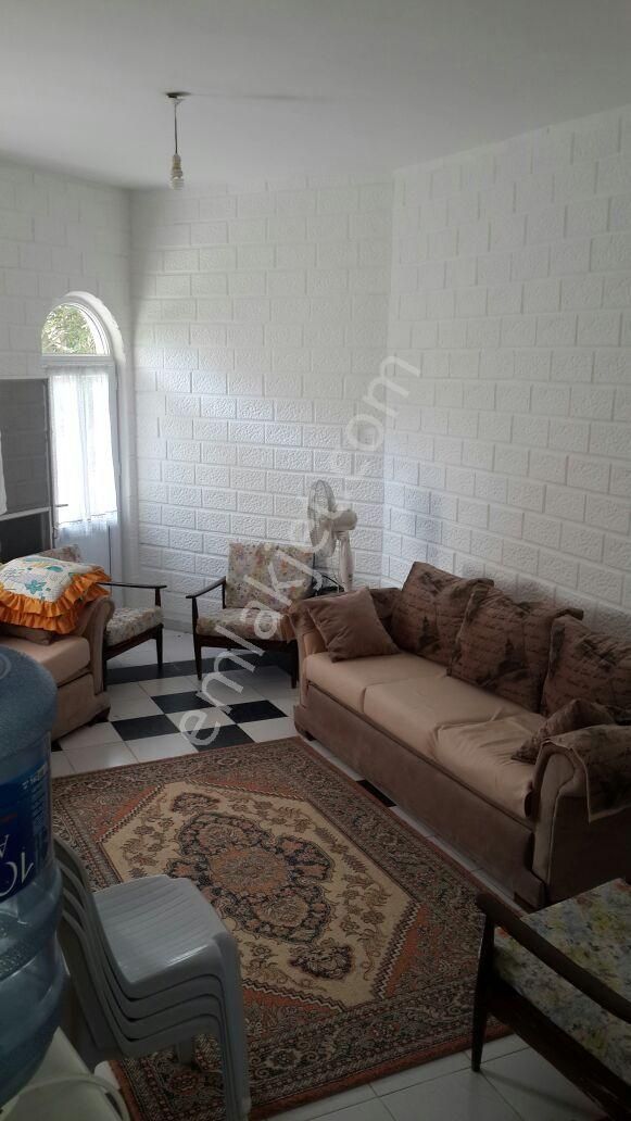 Acill. Daha Sakin Ve Sağlıklı Bir Hayat İçin Mükemmel Seçim. İhtiyaçtan Acil Satılık - Görsel 23