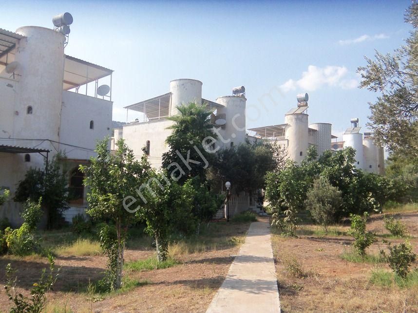 Acill. Daha Sakin Ve Sağlıklı Bir Hayat İçin Mükemmel Seçim. İhtiyaçtan Acil Satılık