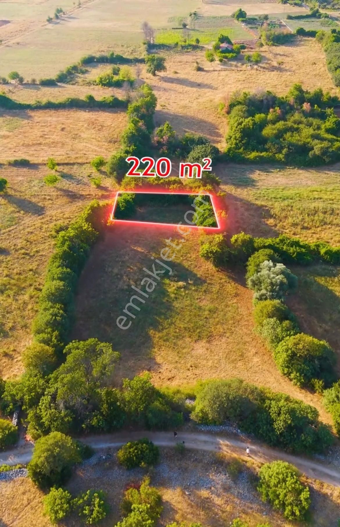 Muğla Menteşe Çiftlik 220 M2 Fırsat Tarla