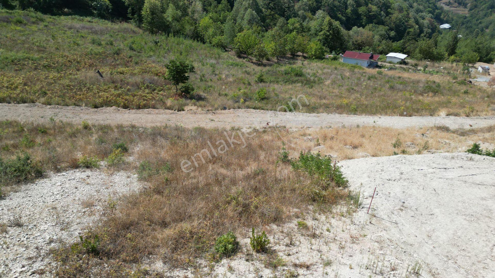 Kocaeli Gölcük Ulaşlı Konut İmarlı 495 M2 Satılık Arsa - Görsel 7