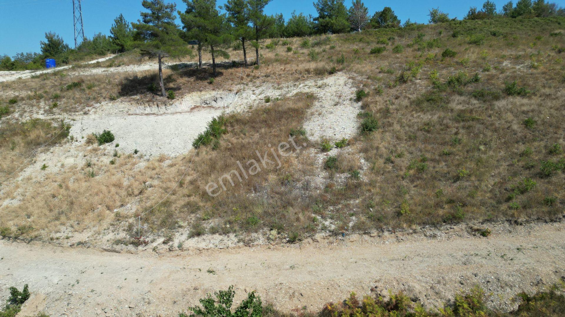 Kocaeli Gölcük Ulaşlı Konut İmarlı 495 M2 Satılık Arsa - Görsel 6