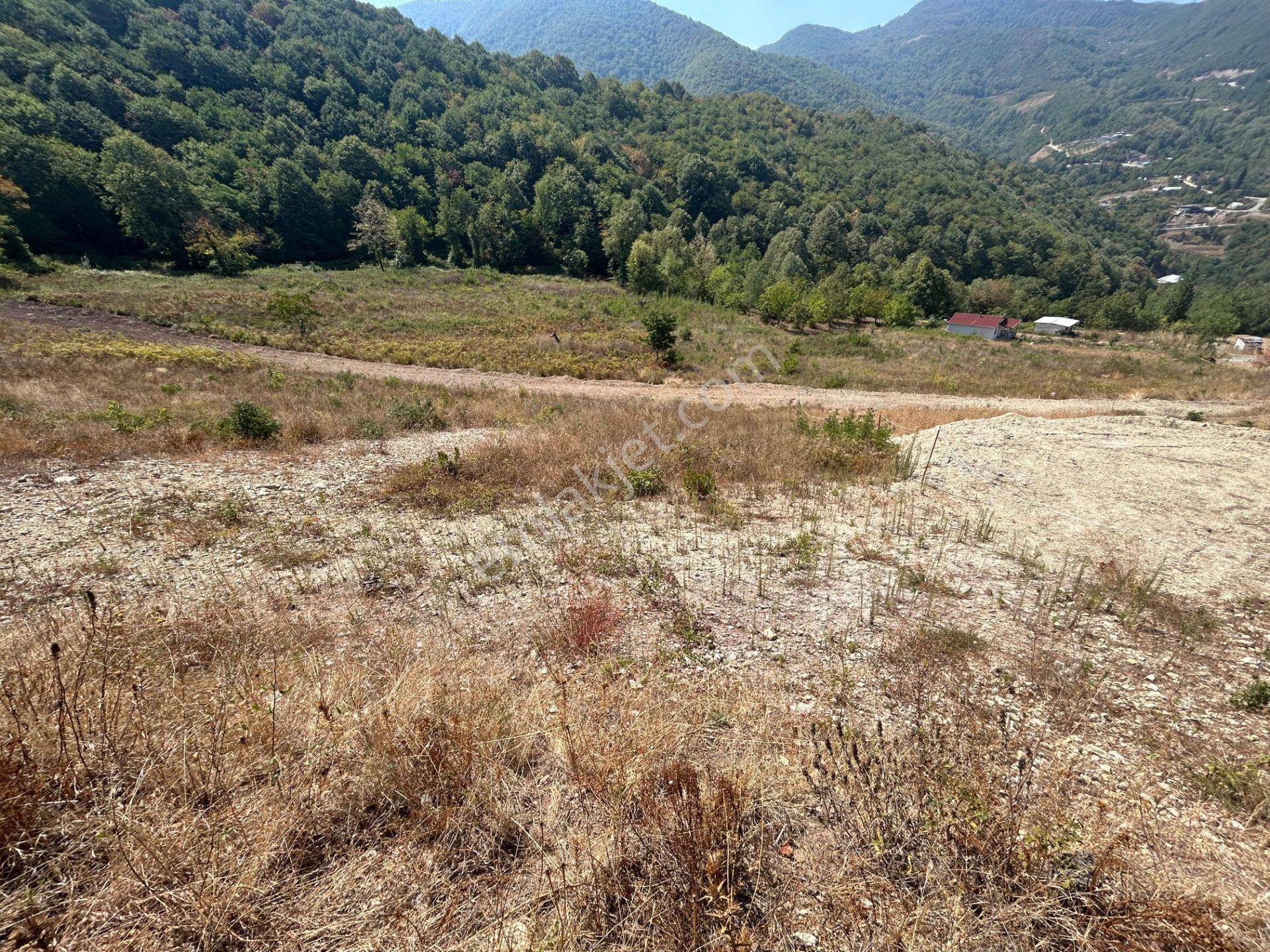 Kocaeli Gölcük Ulaşlı Konut İmarlı 495 M2 Satılık Arsa - Görsel 2