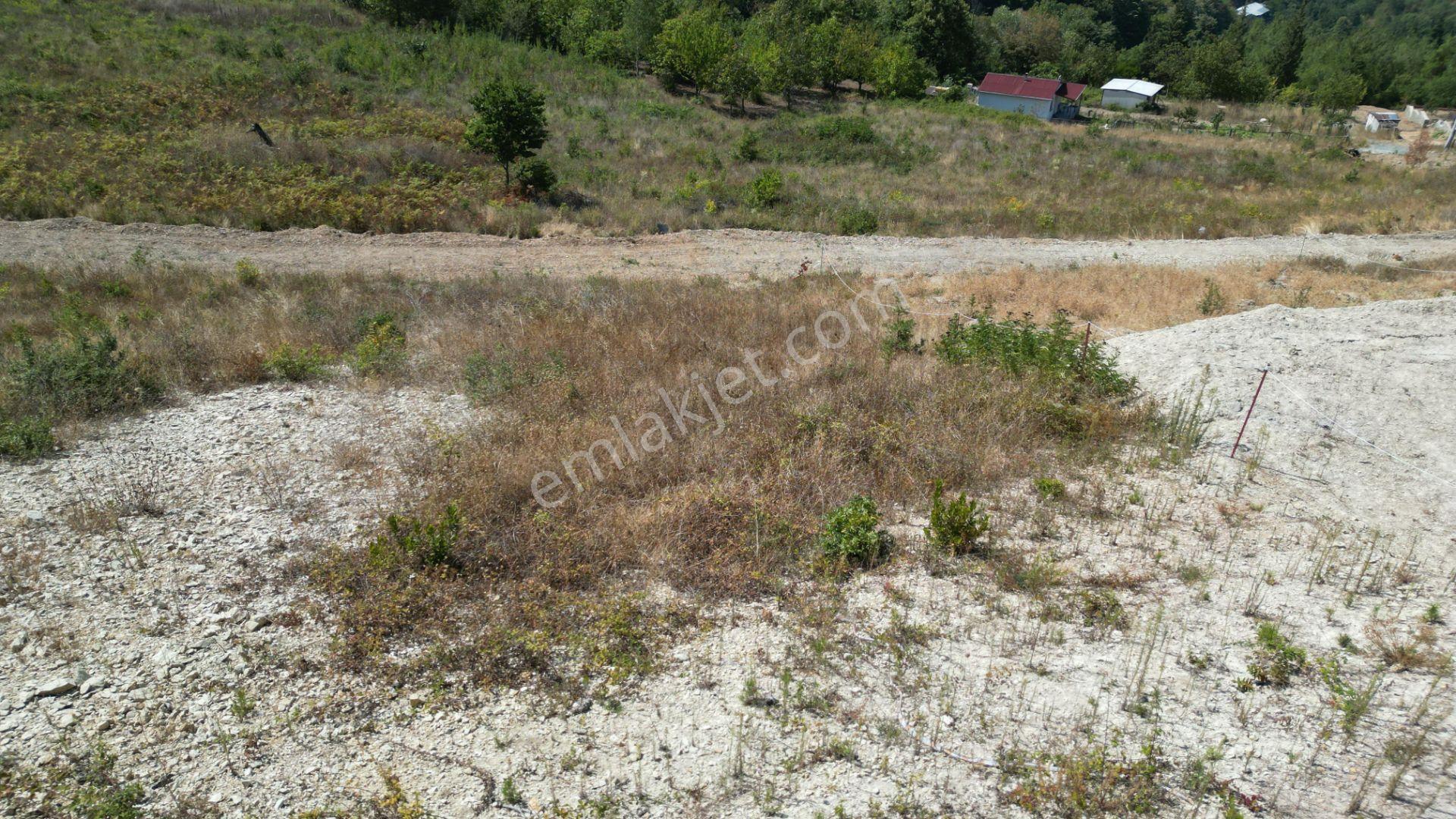 Kocaeli Gölcük Ulaşlı Konut İmarlı 495 M2 Satılık Arsa - Görsel 13
