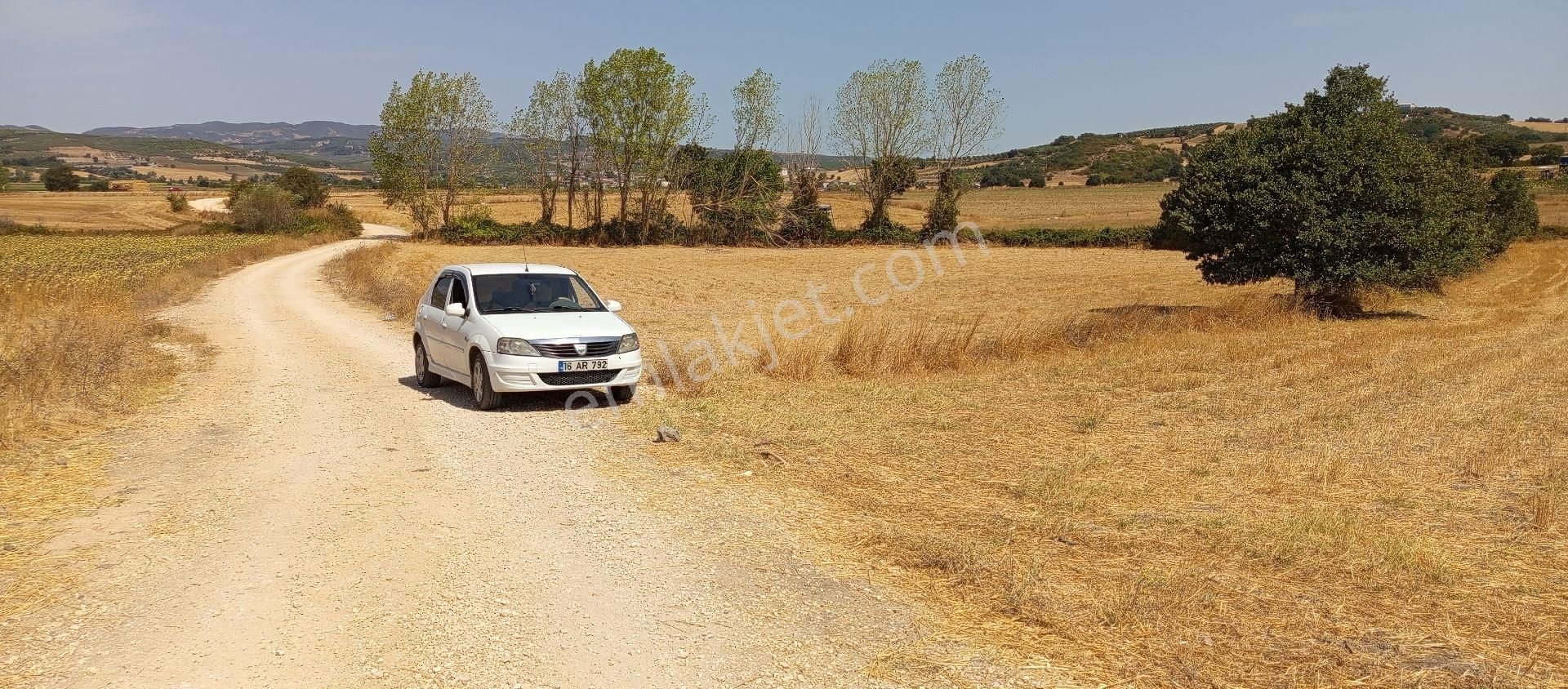 Bursa Nilüfer Çaylı Mahallesi Satılık 500 Mt2 Hisseli Tarla