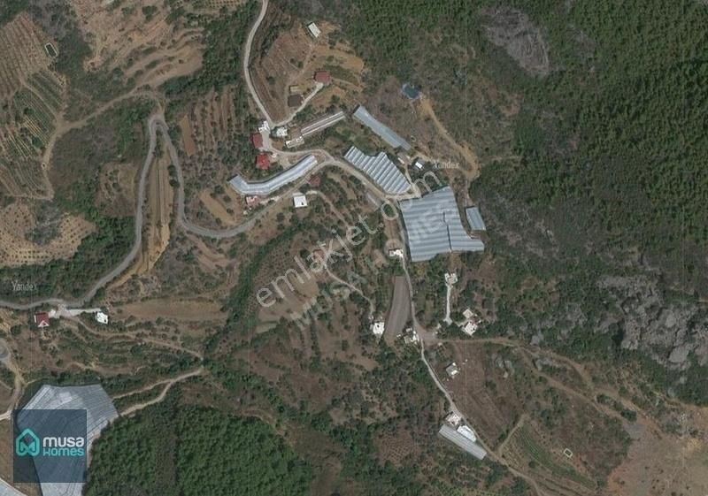 Alanya Hocalar'da 15 Dönüm Tek Tapu Arazi - Görsel 2