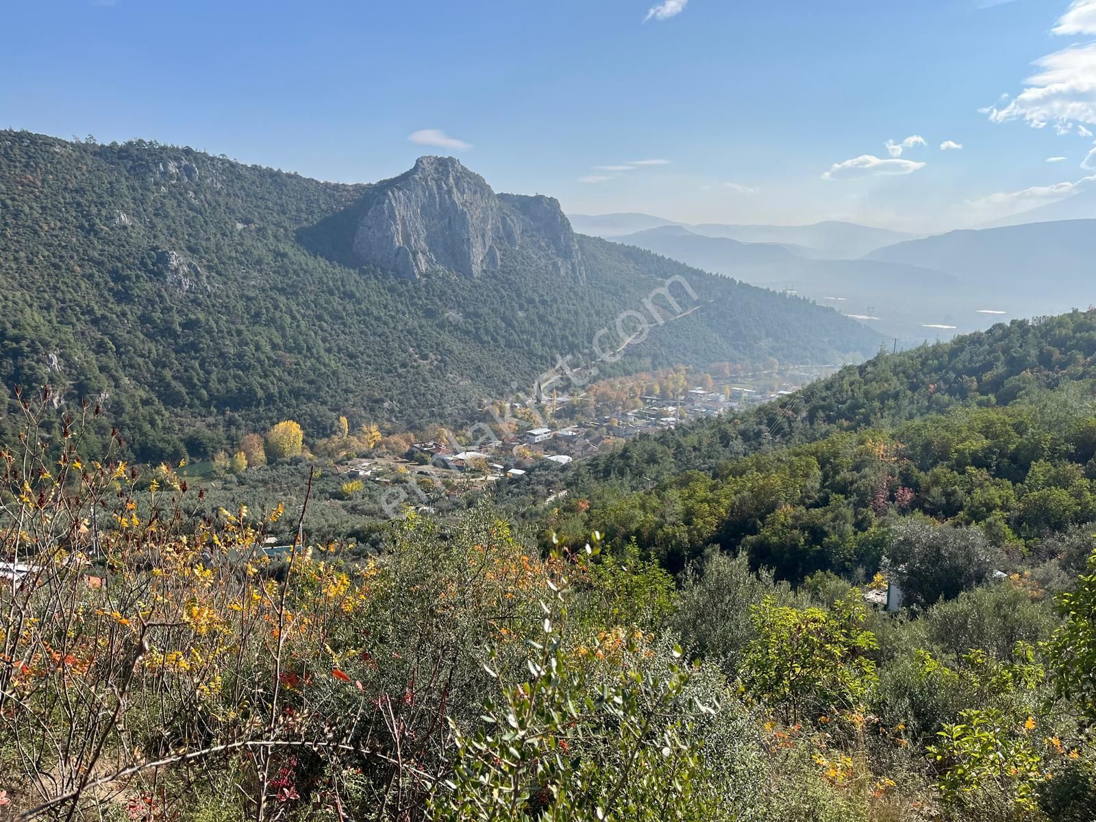 Nilvest'ten Bursa Kestel Narlıdere'de Evi Olan Zeytin Bahçesi - Görsel 18