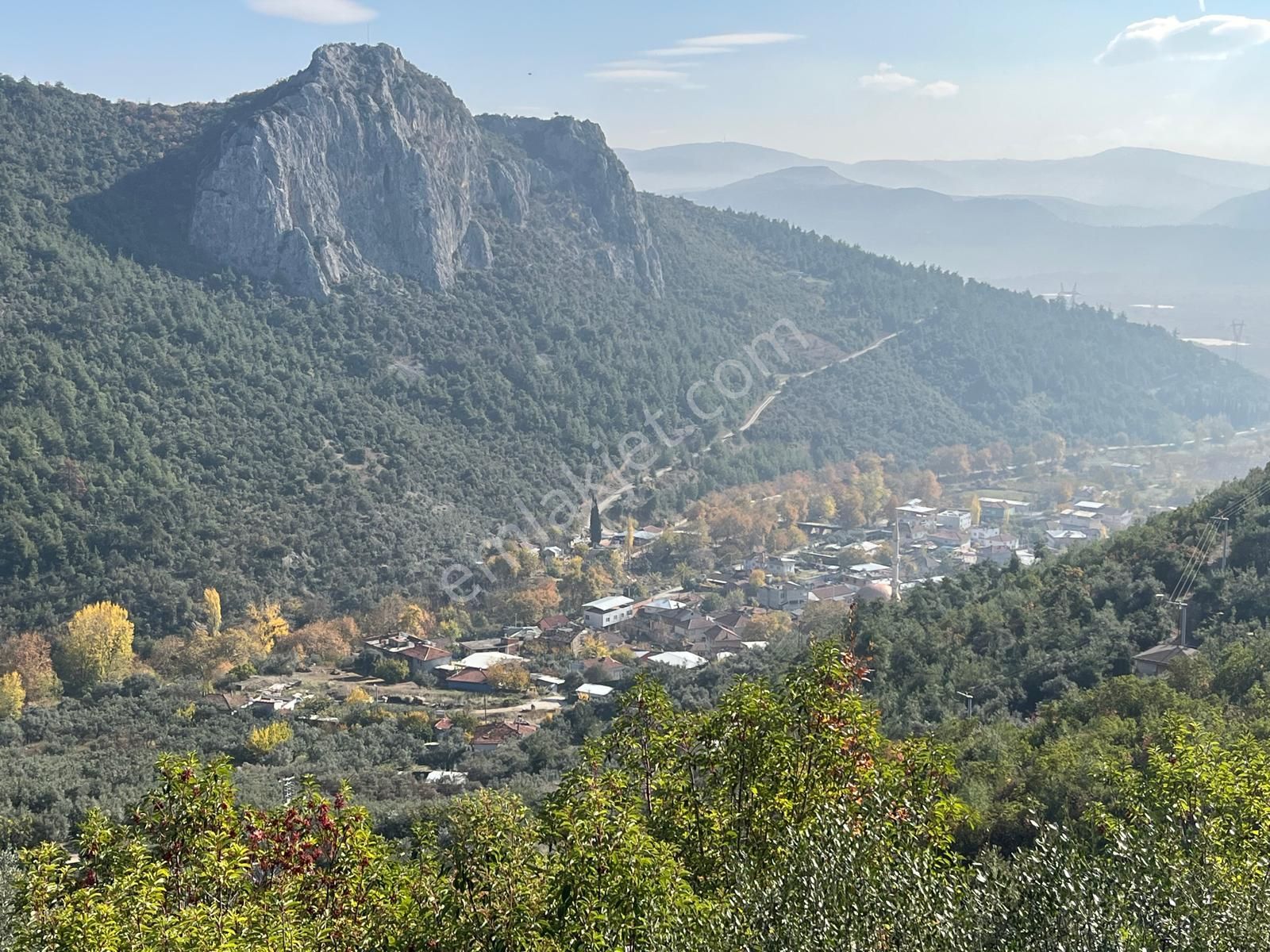 Nilvest'ten Bursa Kestel Narlıdere'de Evi Olan Zeytin Bahçesi - Görsel 17