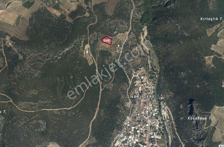 Nilvest'ten Bursa Kestel Narlıdere'de Evi Olan Zeytin Bahçesi - Görsel 19
