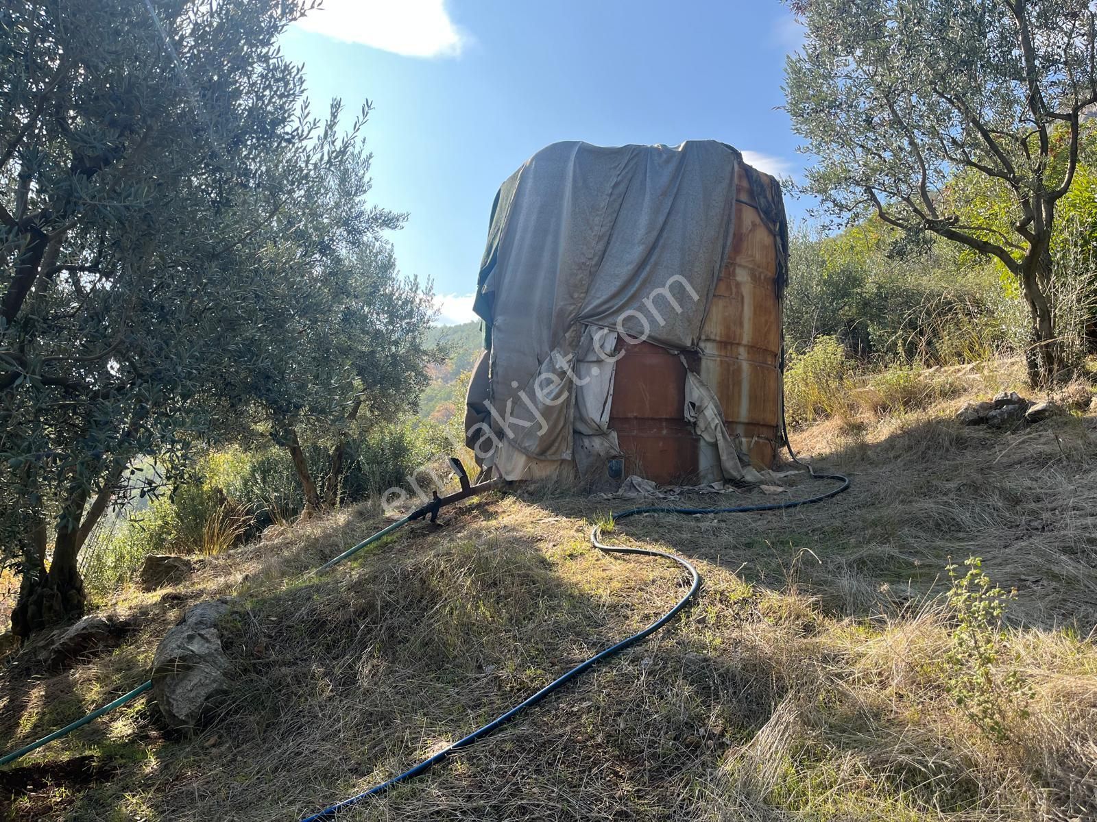 Nilvest'ten Bursa Kestel Narlıdere'de Evi Olan Zeytin Bahçesi - Görsel 6