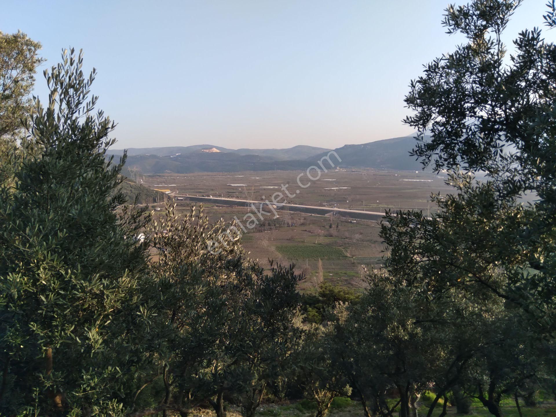 Nilvest'ten Kestel Narlıdere'de Çok Güzel Manzaralı Hobi Bahçesi