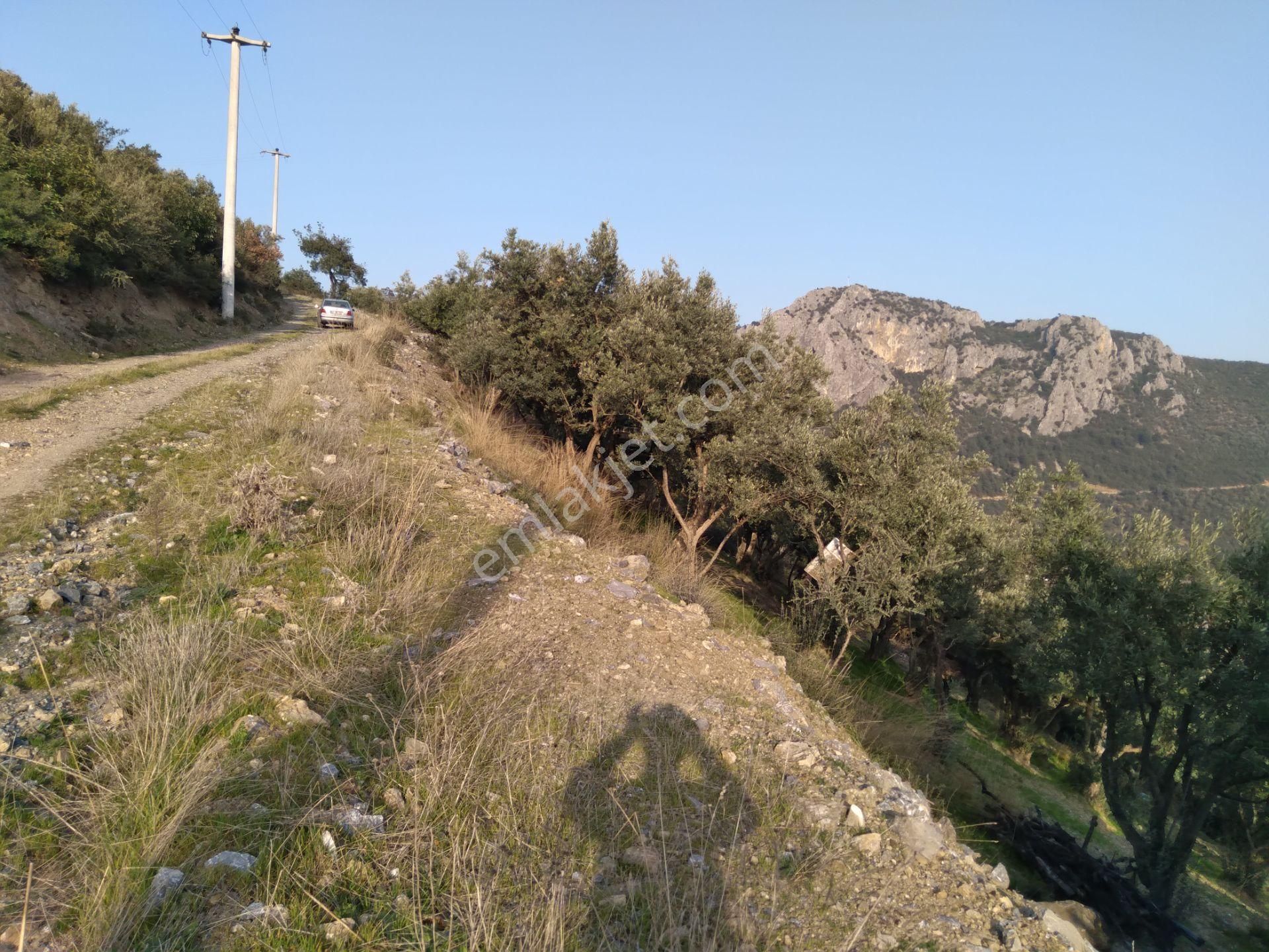 Nilvest'ten Kestel Narlıdere'de Çok Güzel Manzaralı Hobi Bahçesi - Görsel 7